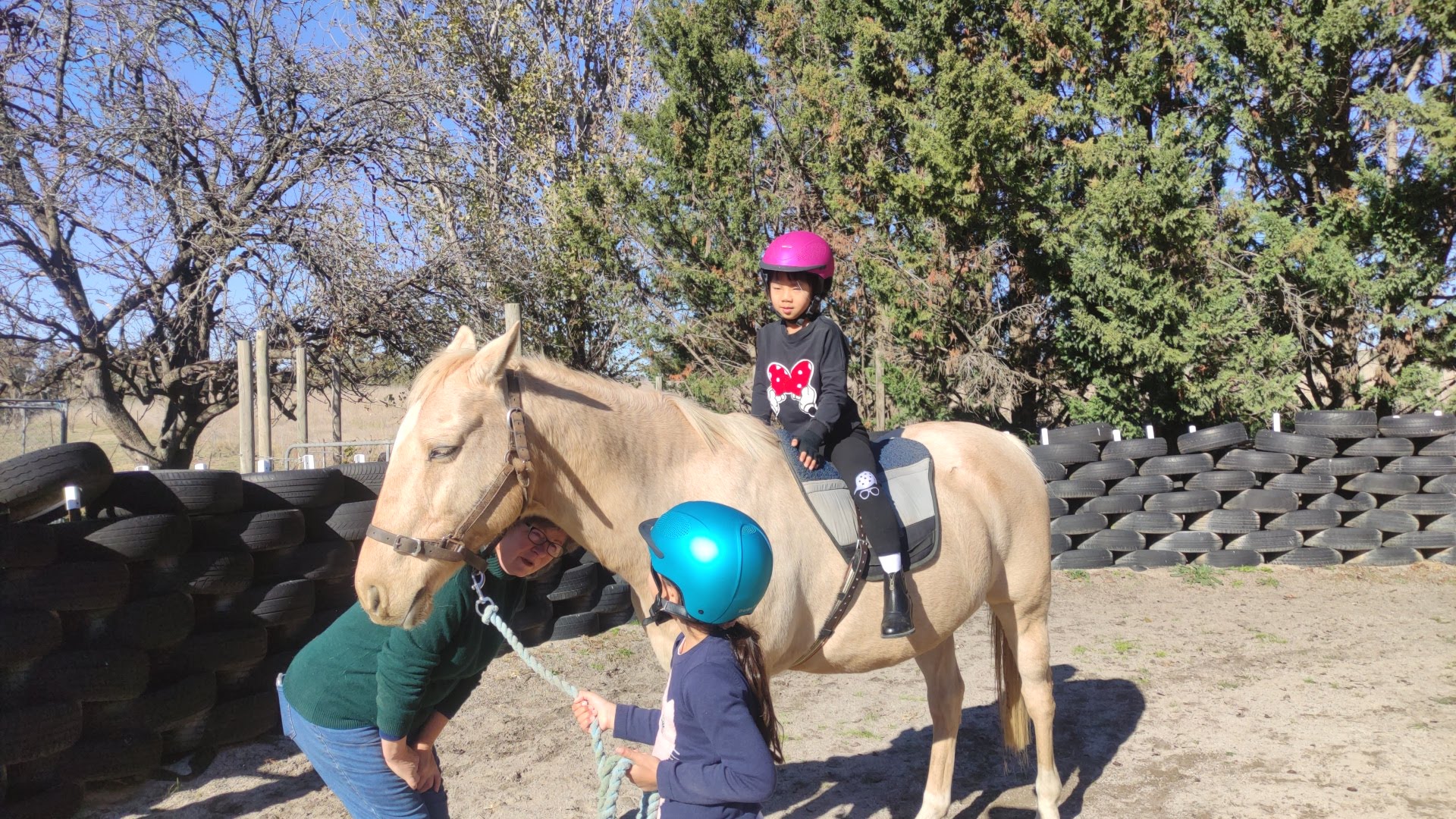 YASS PETS & RIDING SCHOOL — Pet Groomers
