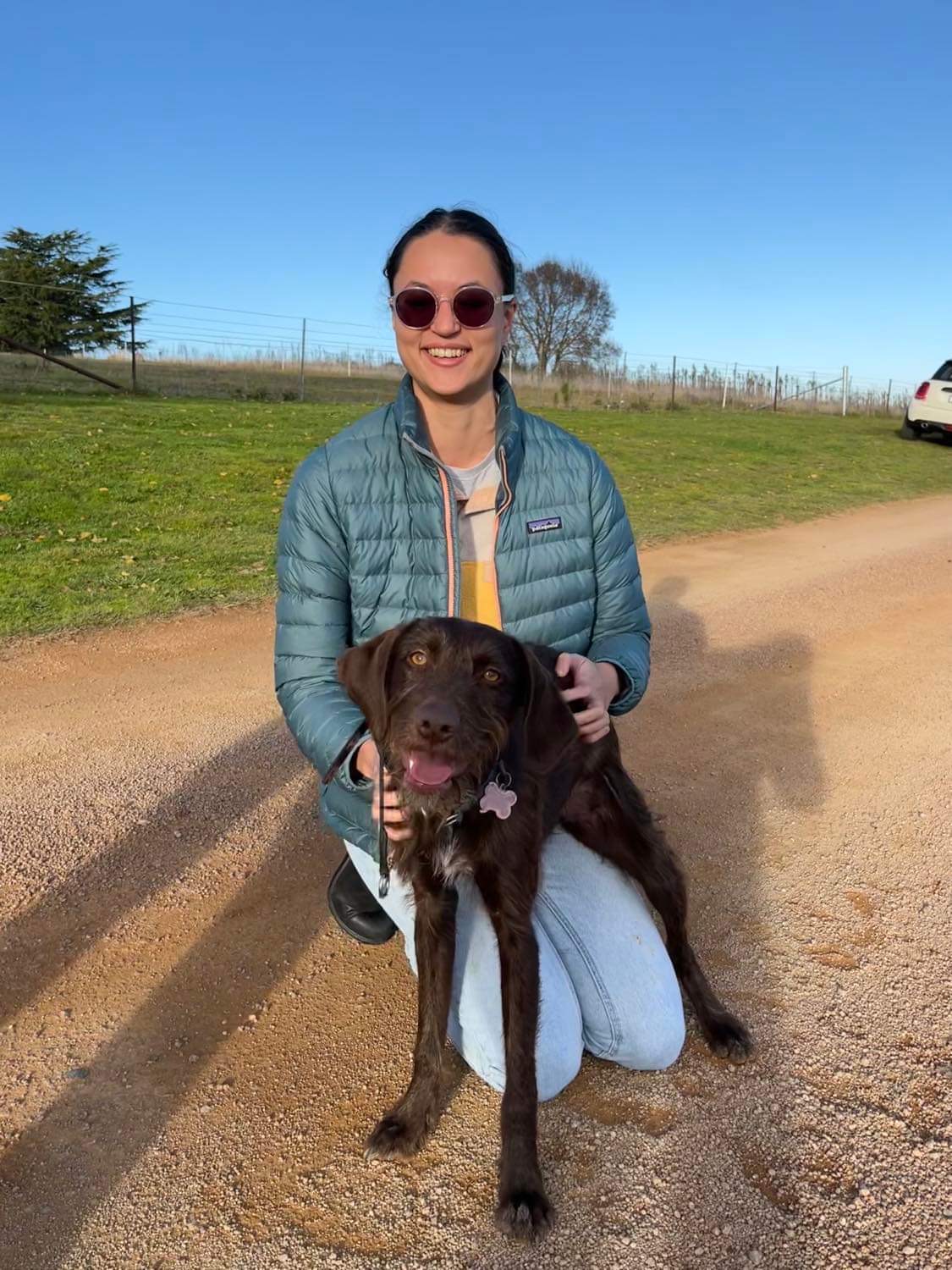 Sidney Aarons Professional Dog Training — Pet Groomers