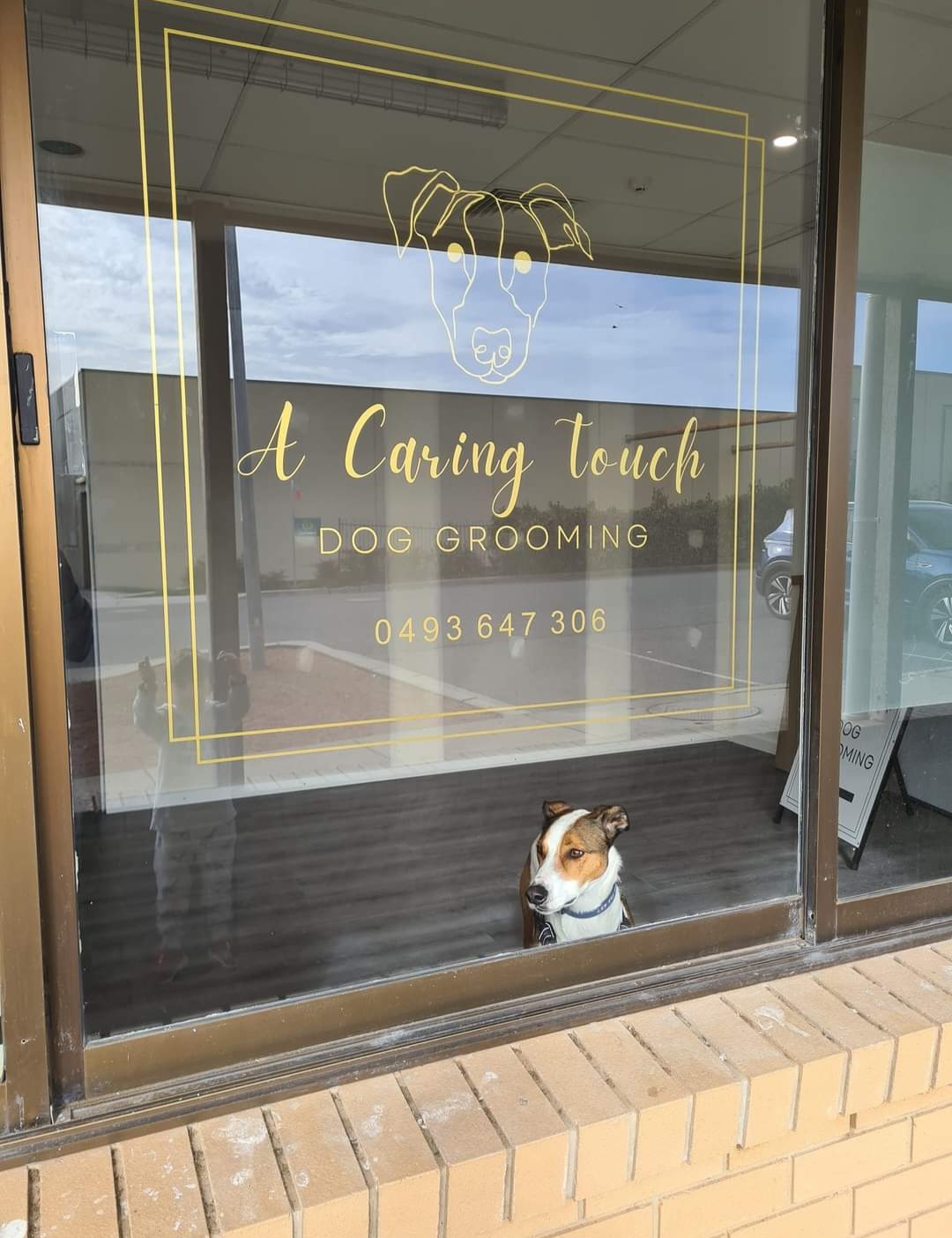 A Caring Touch Dog Grooming — Pet Groomers