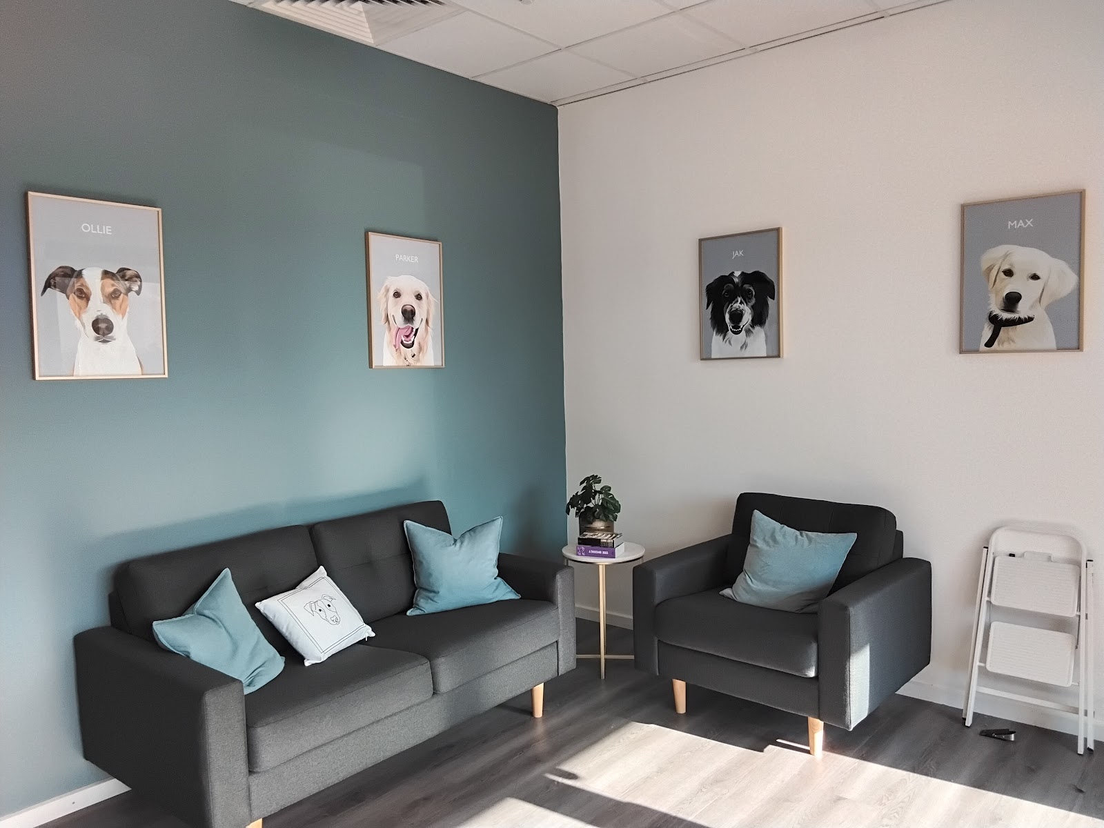 A Caring Touch Dog Grooming