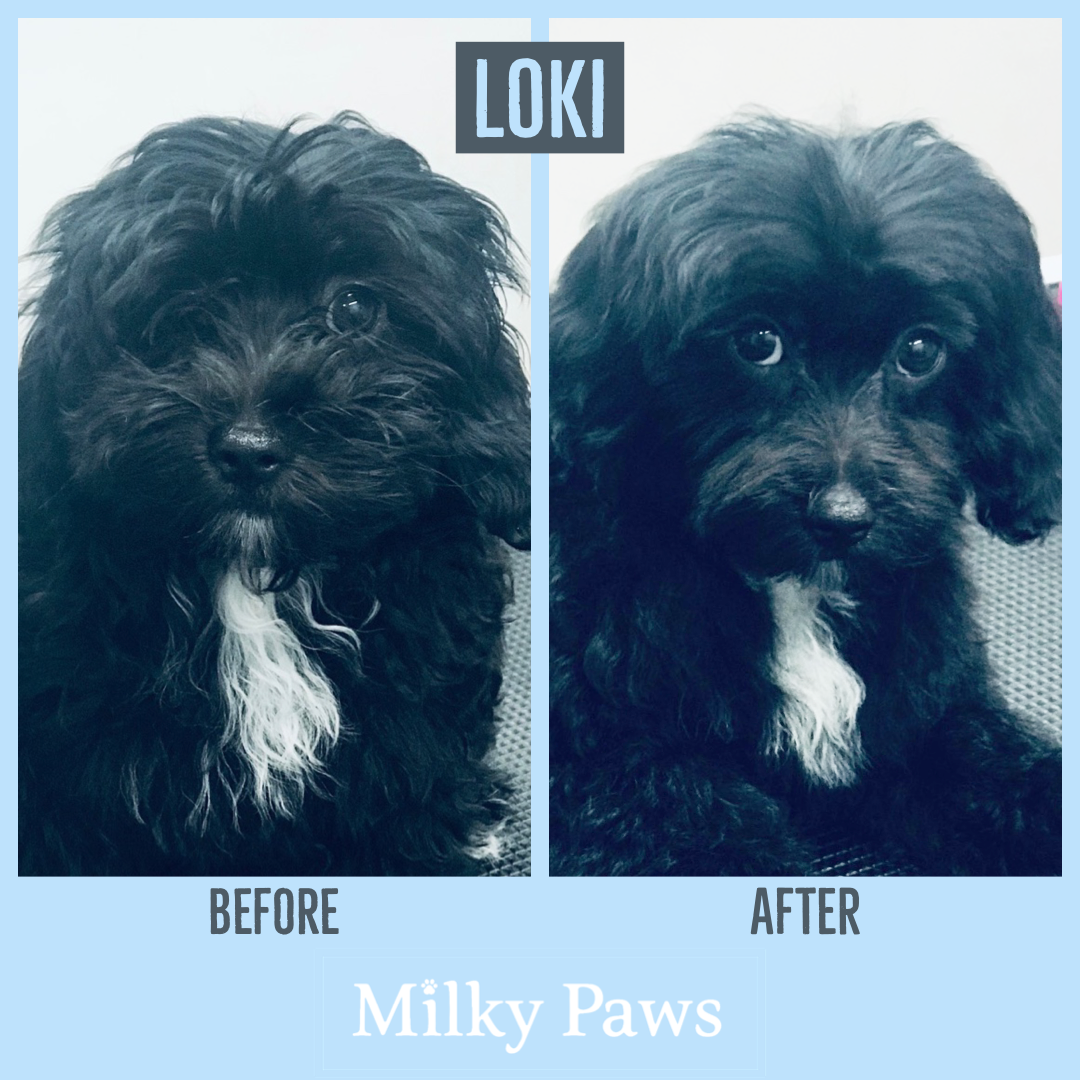 Milky Paws