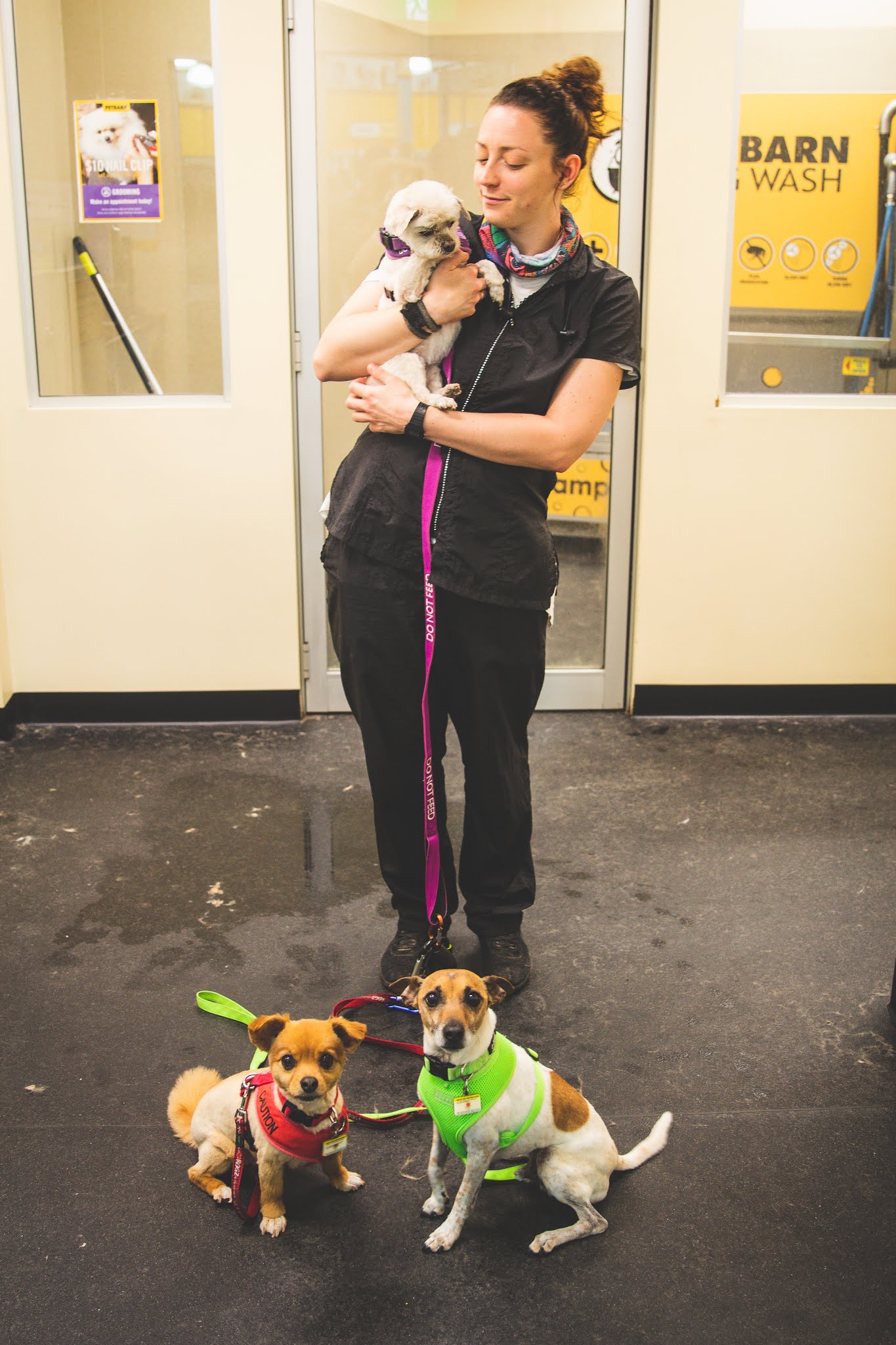 Petbarn Woden