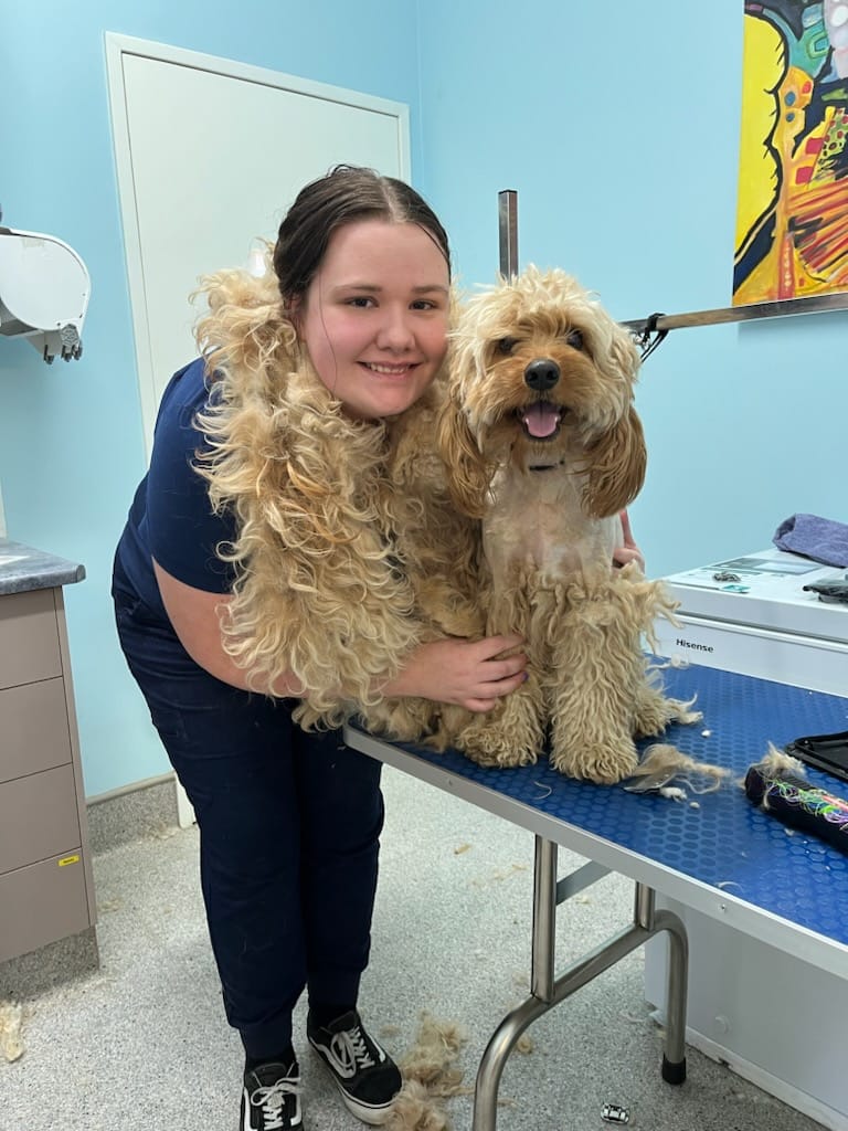 Cooper Street Veterinary Hospital