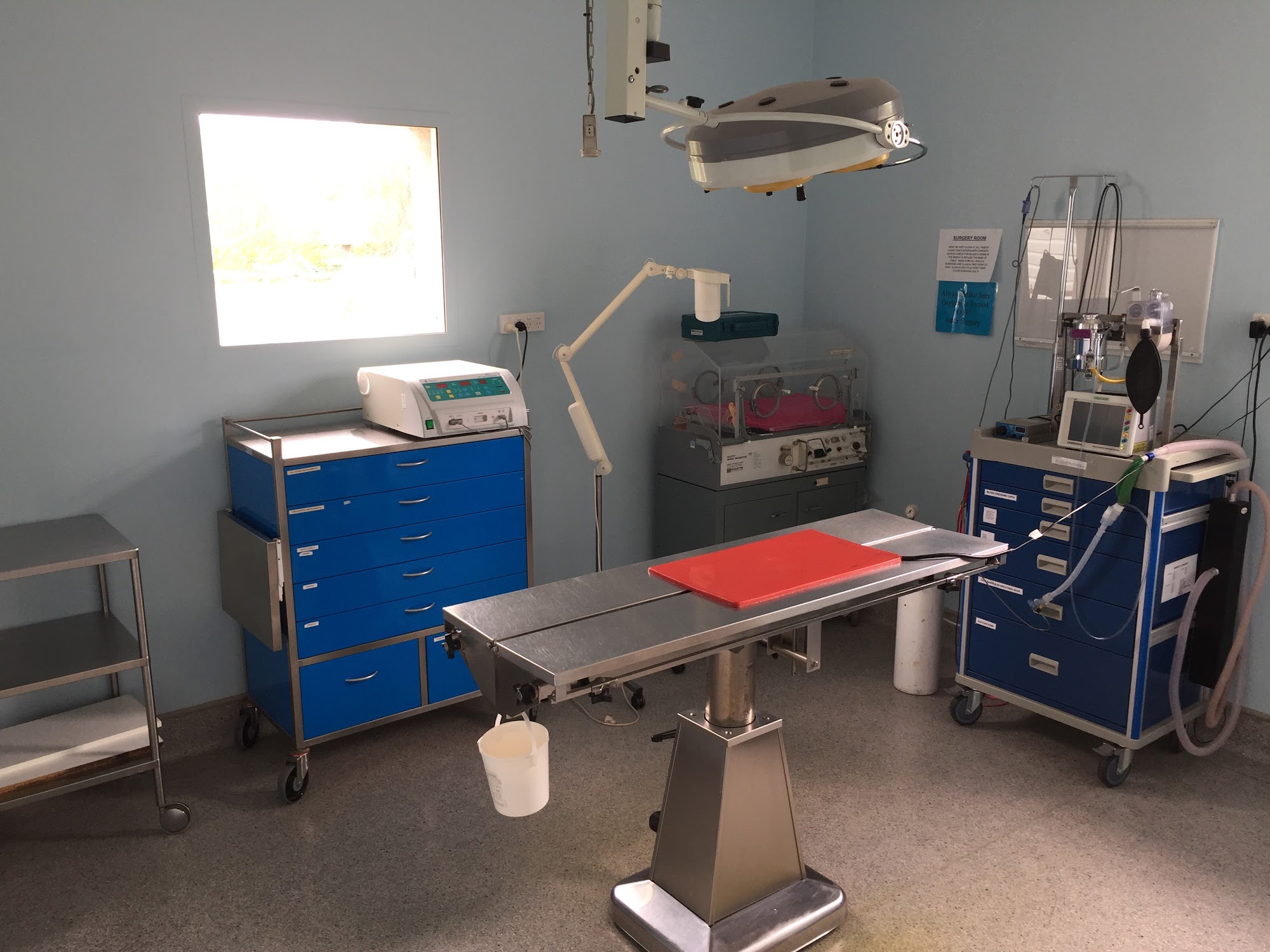 Cooper Street Veterinary Hospital