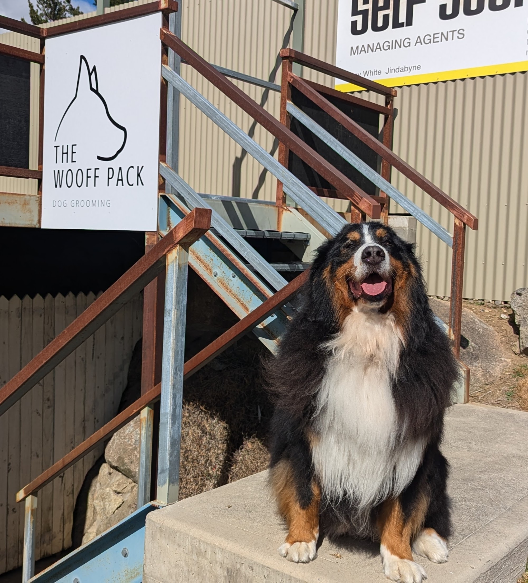 The Wooff Pack — Pet Groomers