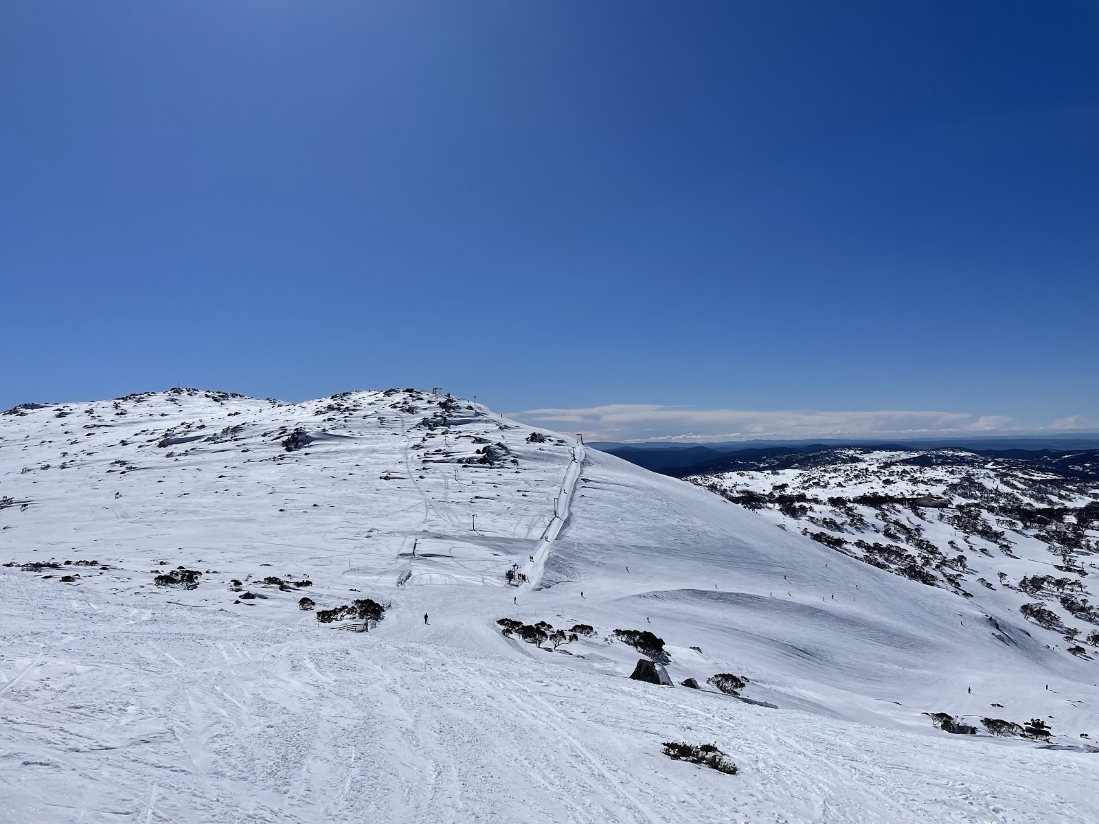 Perisher Ski Resort — Pet Groomers