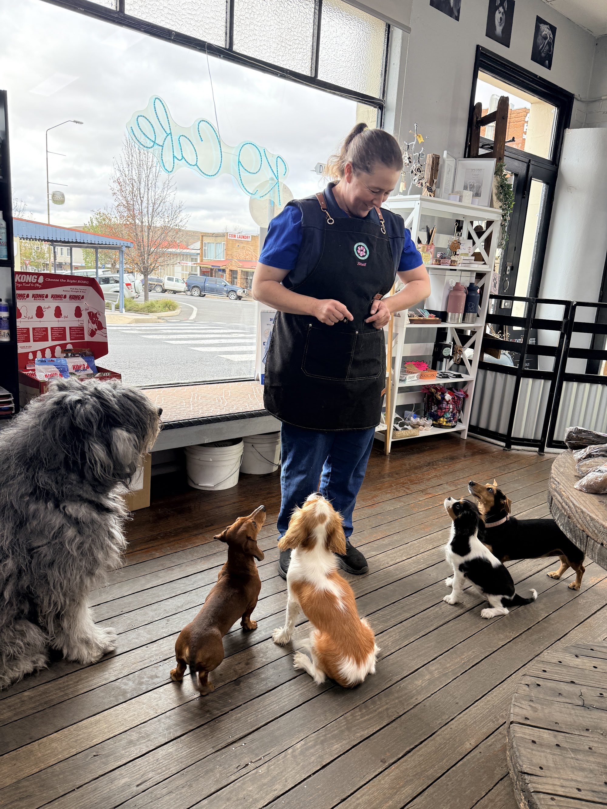 Sandys Grooming Tails & K9 Cafe