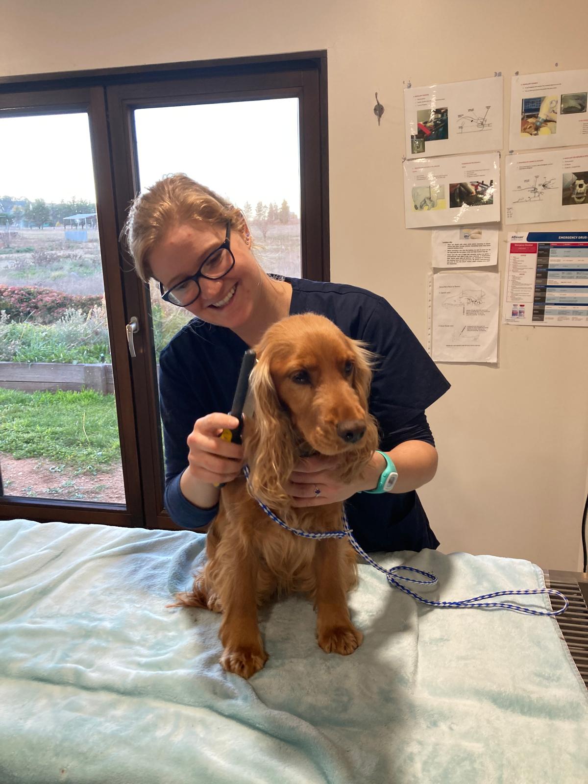 Snowy Vets - Cooma (24/7 Emergency Service)