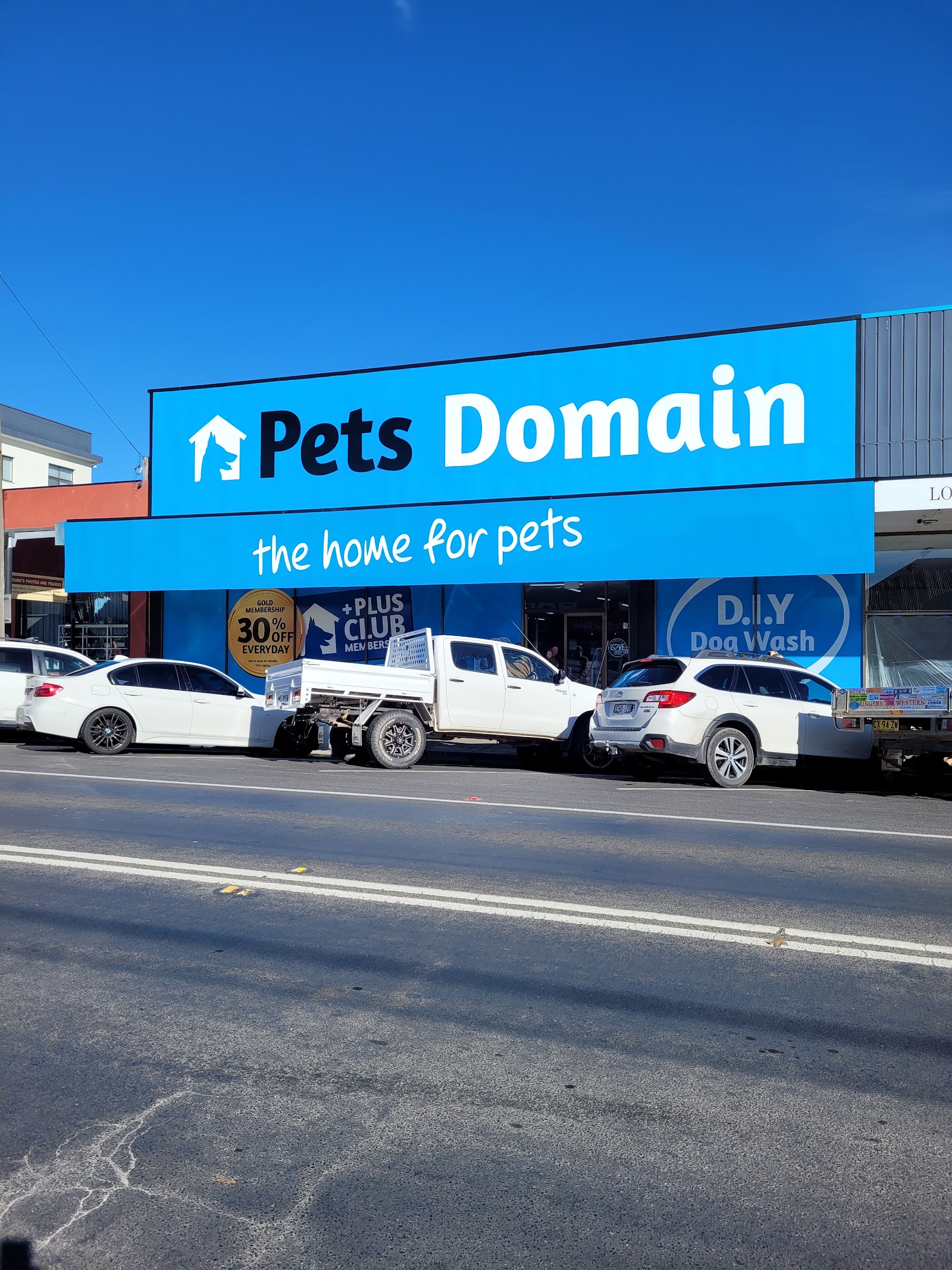 Pets Domain
