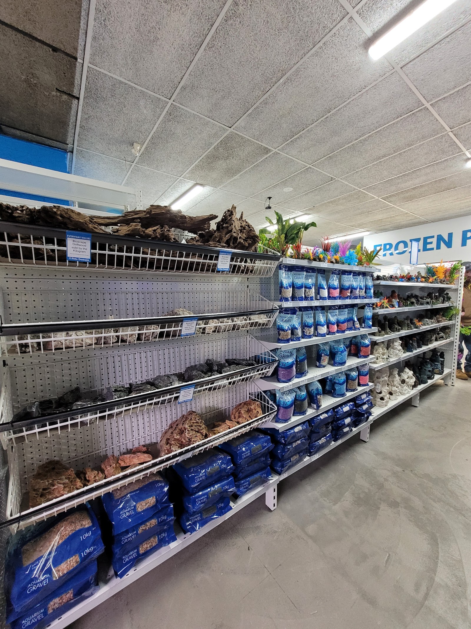Pets Domain