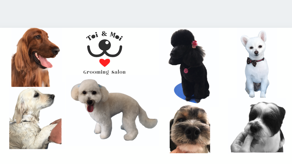 Toi&Moi Grooming Salon logo