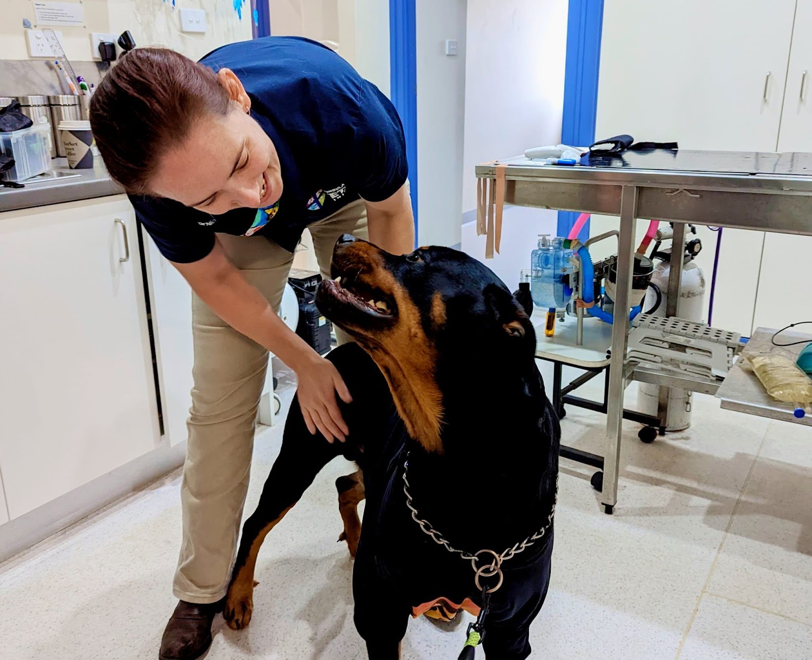 Merimbula Vet