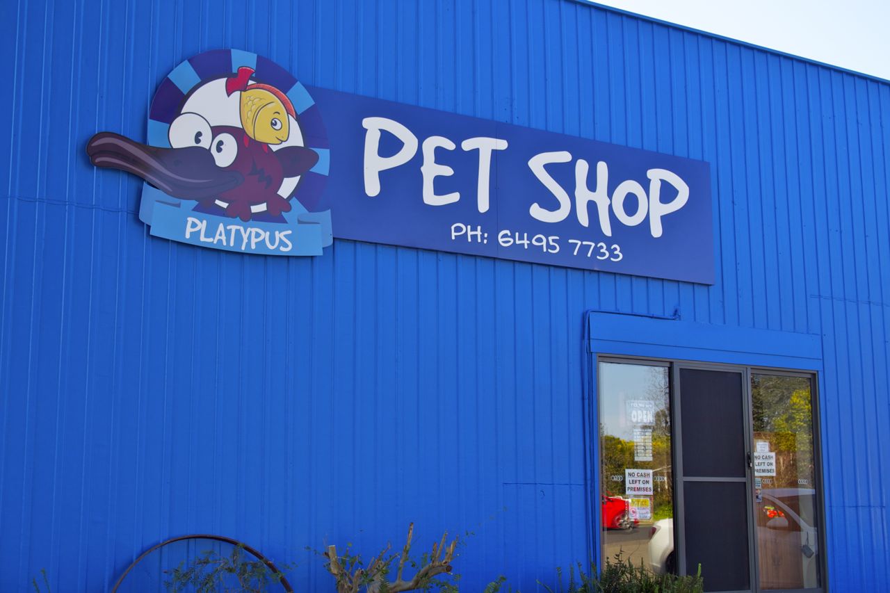 Platypus Pet Shop