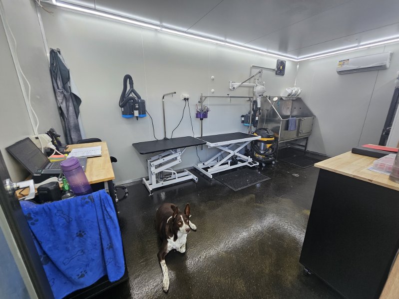 What The Fluff Pet Spa