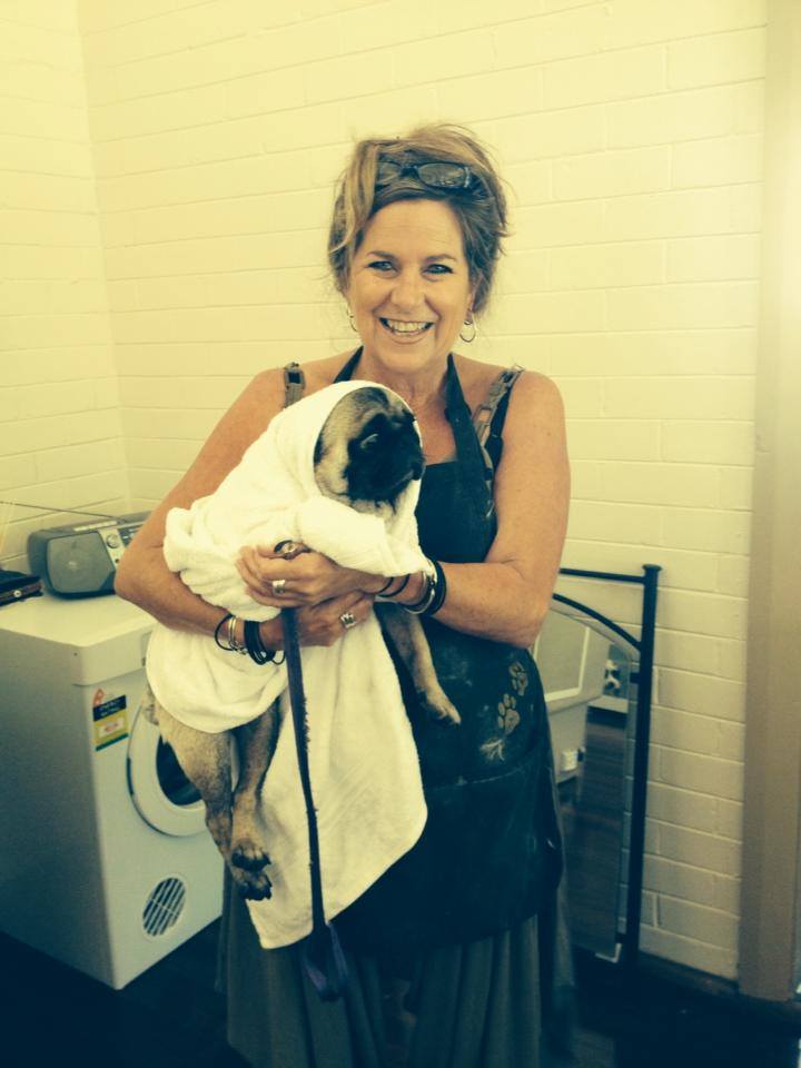 Groomingdayles Mobile Pet Grooming Salon Central Coast