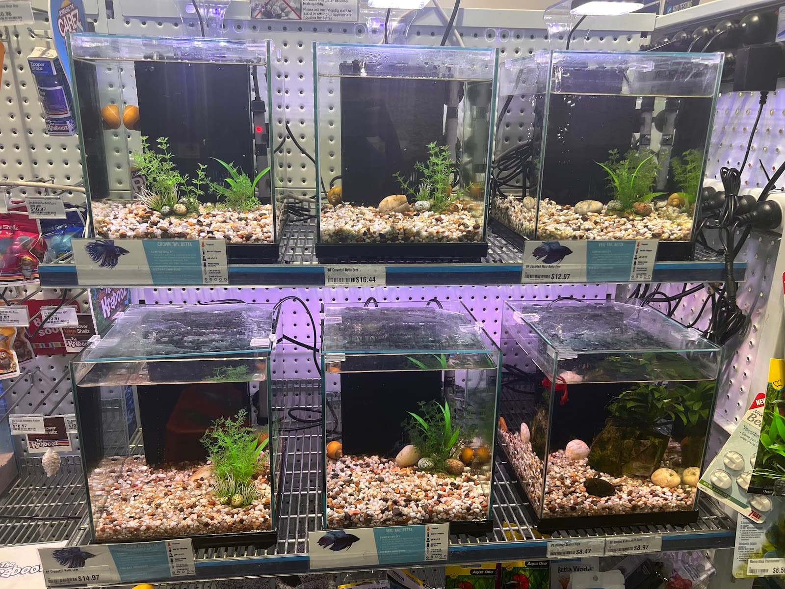Petstock Tuggerah