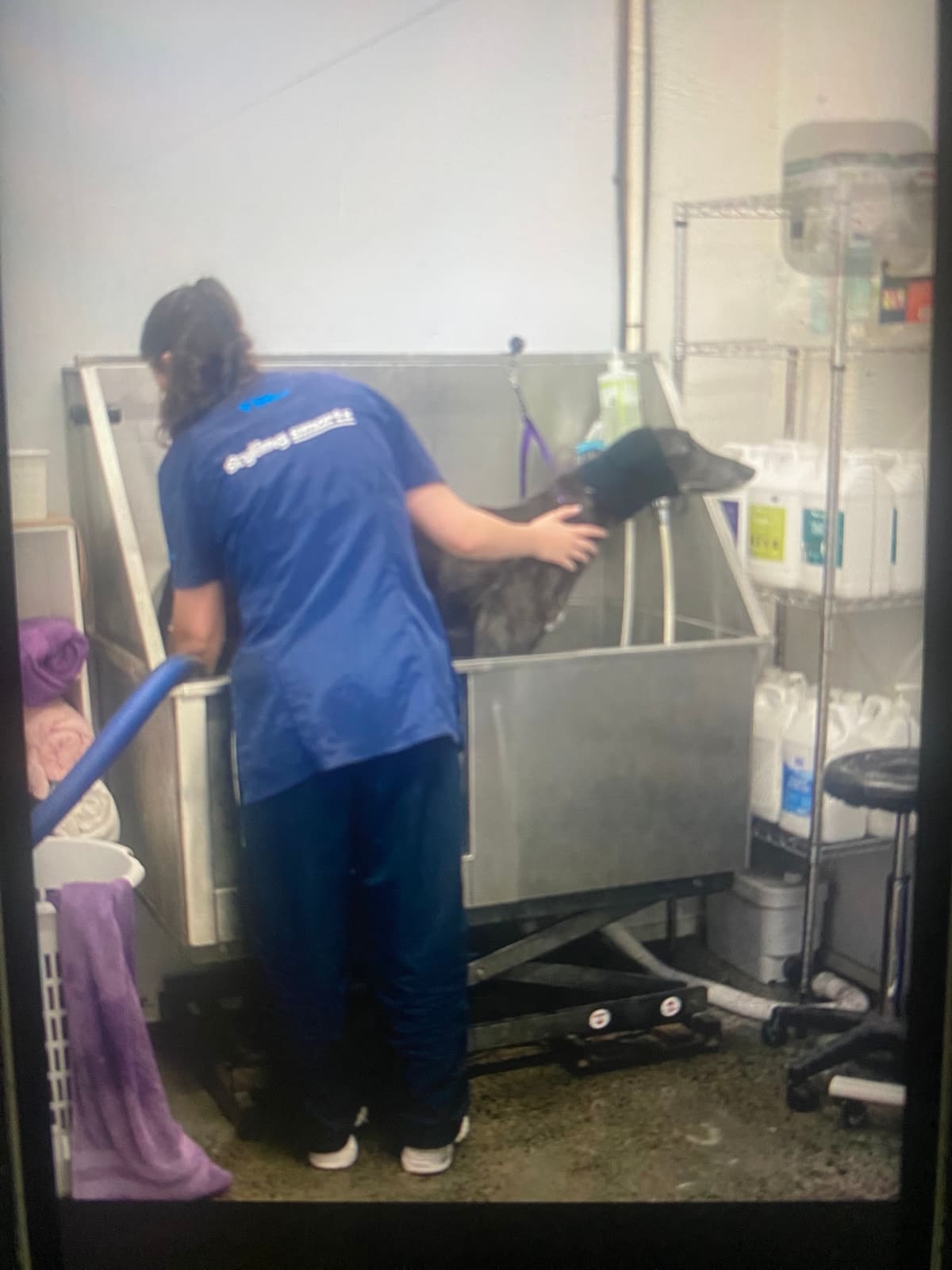 Petstock Tuggerah