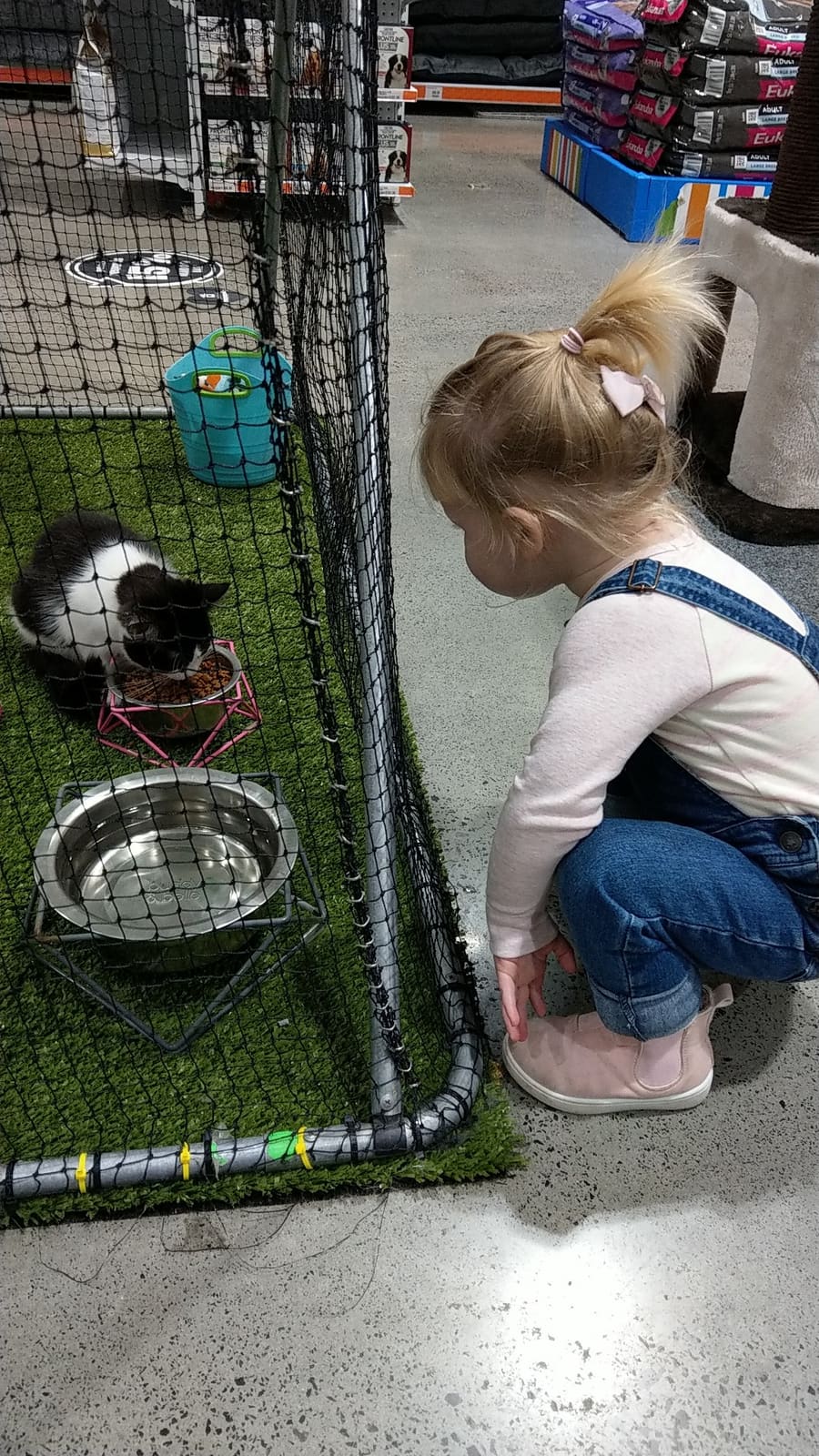 Petstock Tuggerah