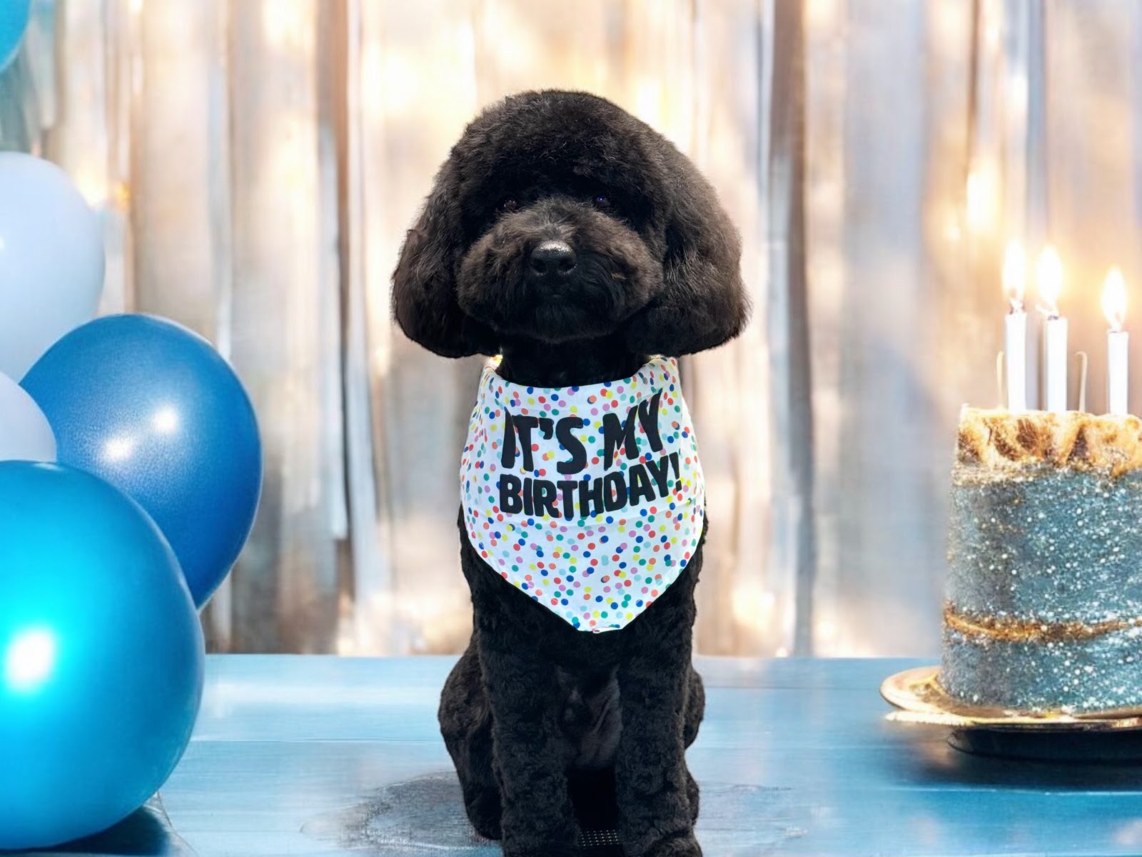 Pupalicious dog grooming