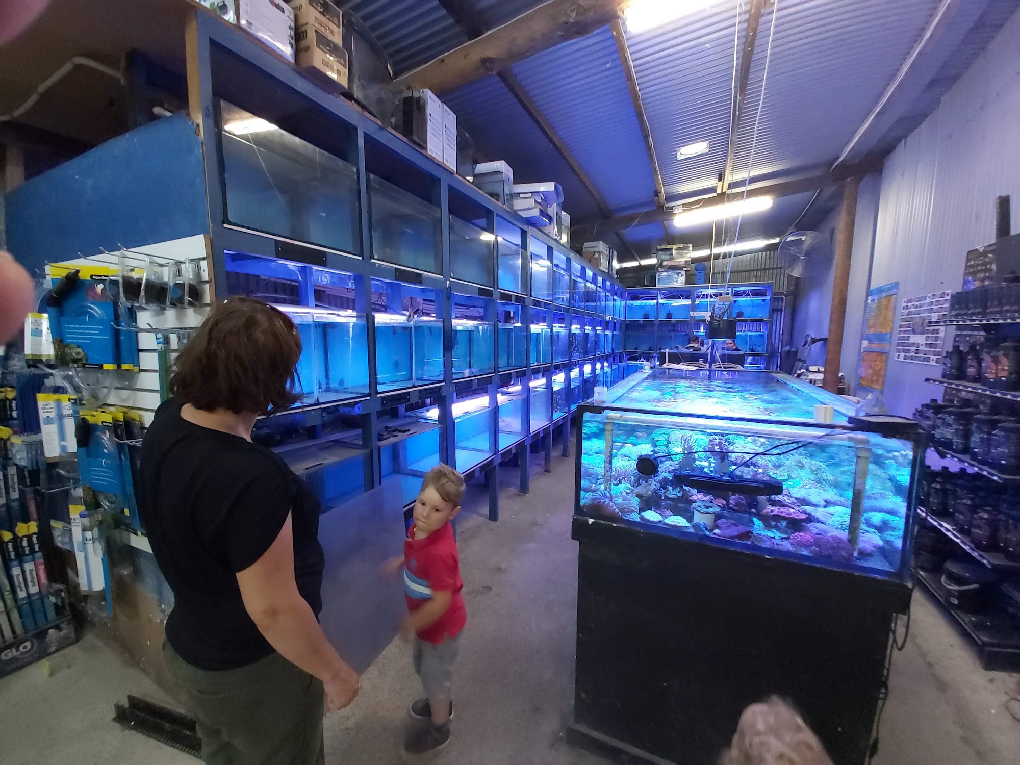 Radley's Pet and Aquarium