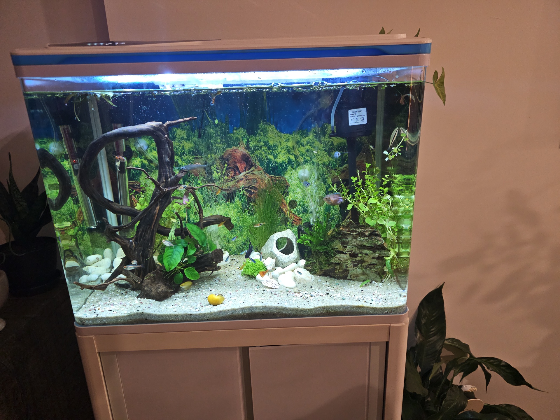 Radley's Pet and Aquarium