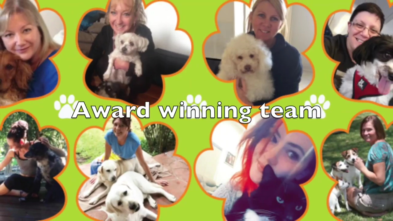 Pawz Pet Sitting And Homecare — Pet Groomers