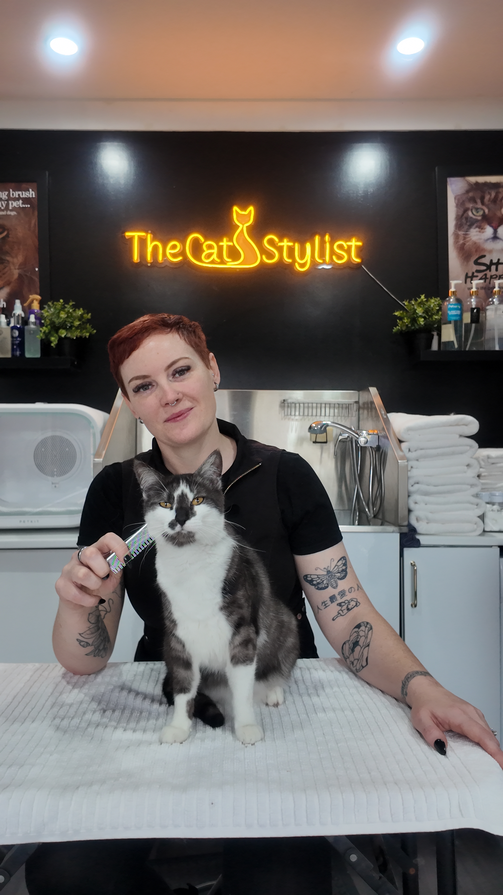 The Cat Stylist — Pet Groomers