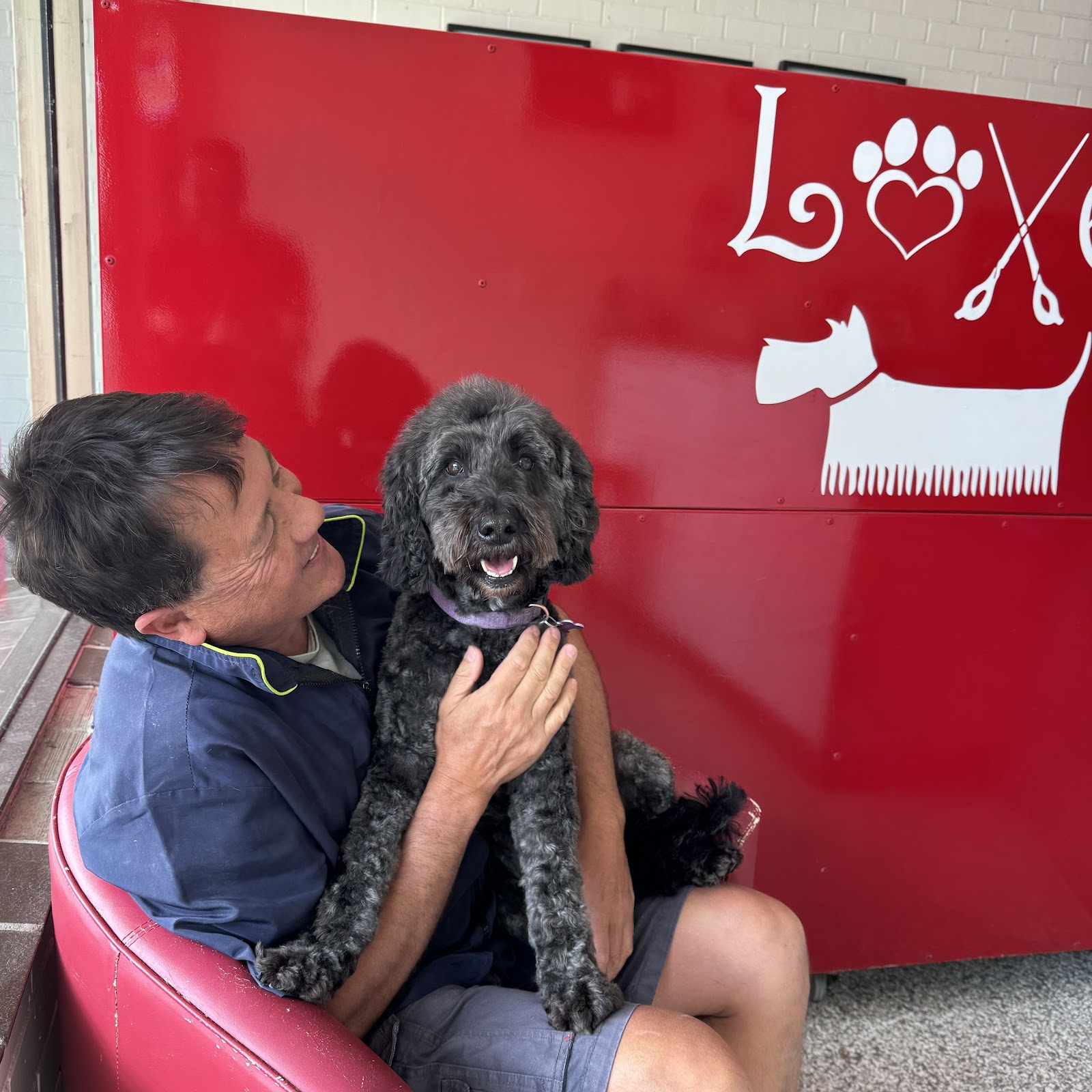 Top Dog Pet Spa