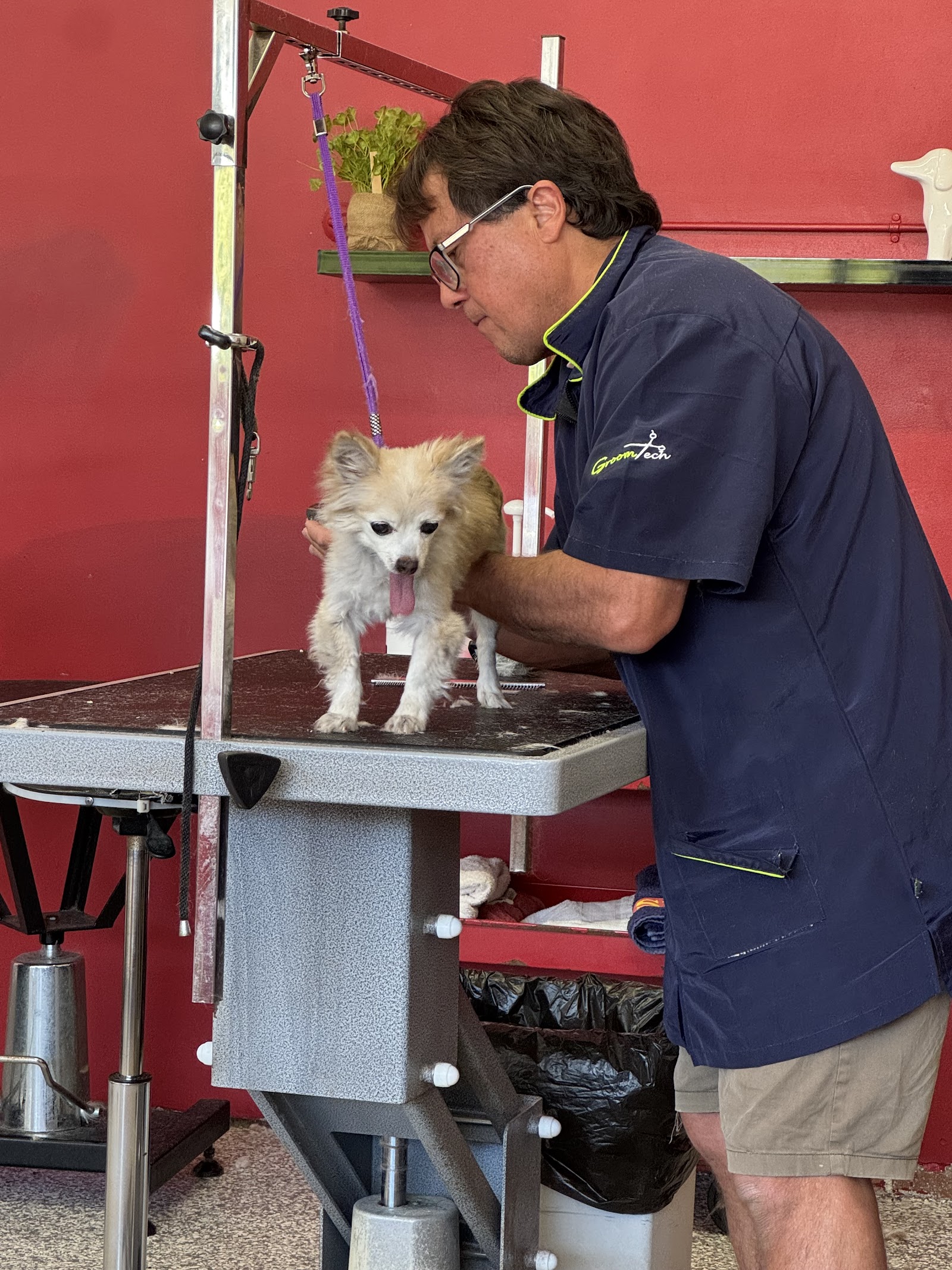 Top Dog Pet Spa