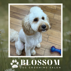 Blossom Dog Grooming Salon logo
