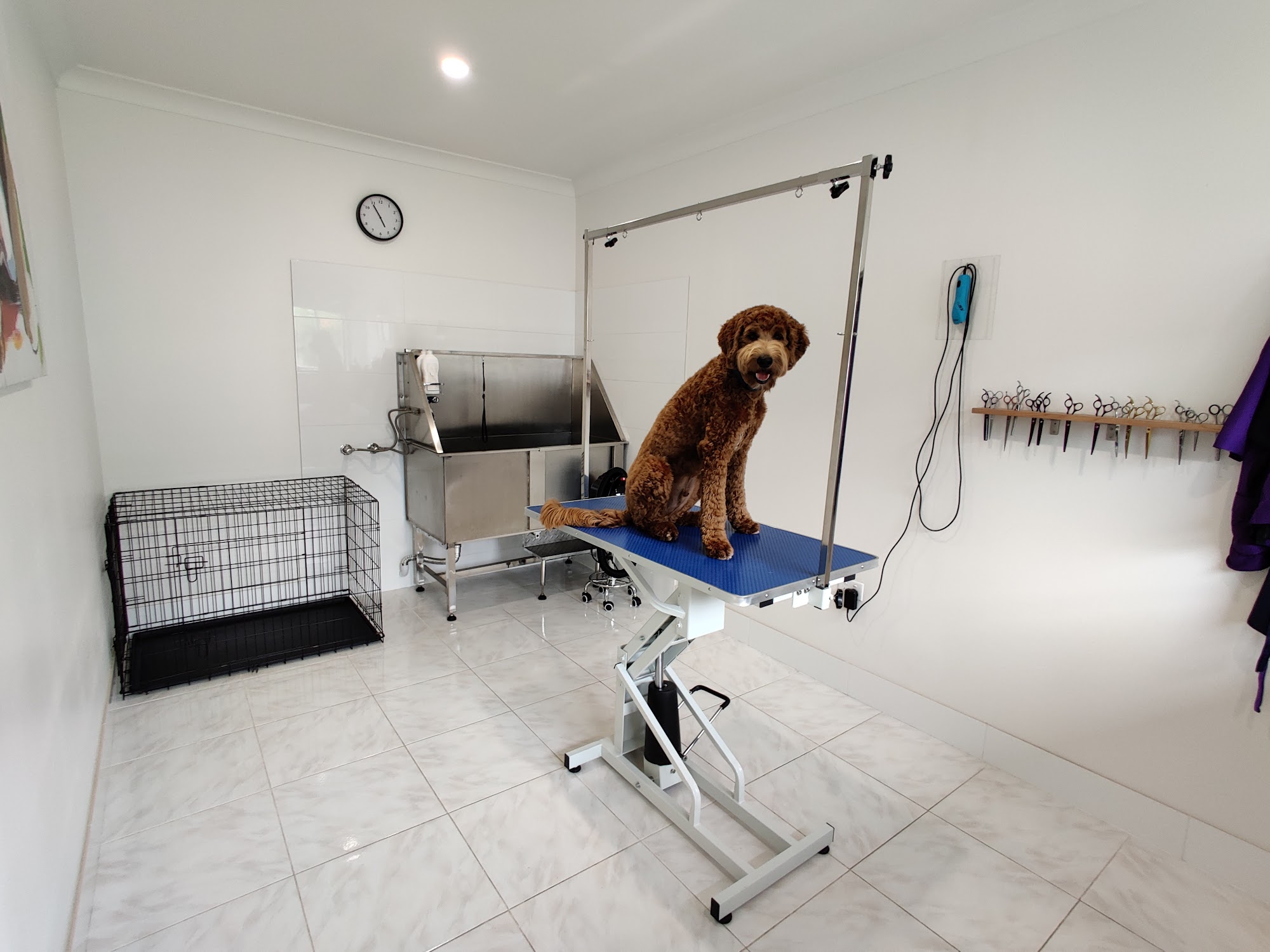Joyce's Grooming Salon