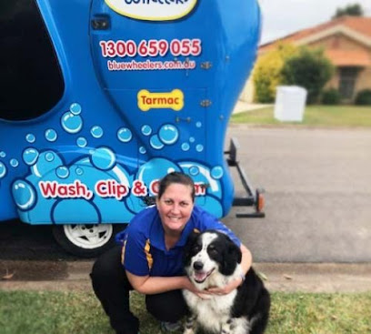 Blue Wheelers Gwandalan — Pet Groomers