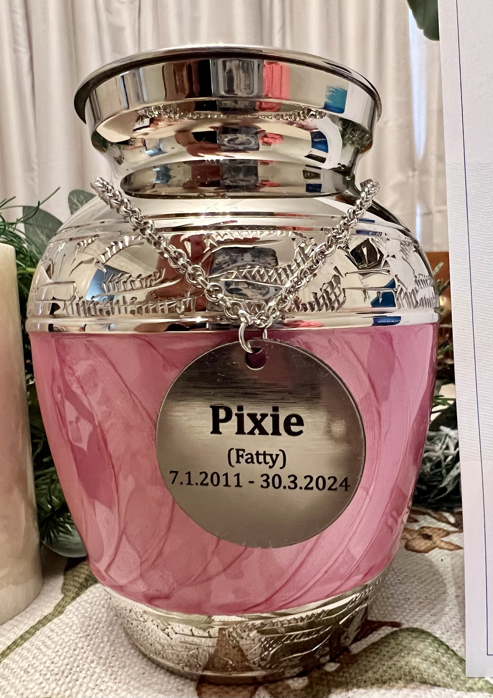 Patch & Purr Pet Cremations Morisset