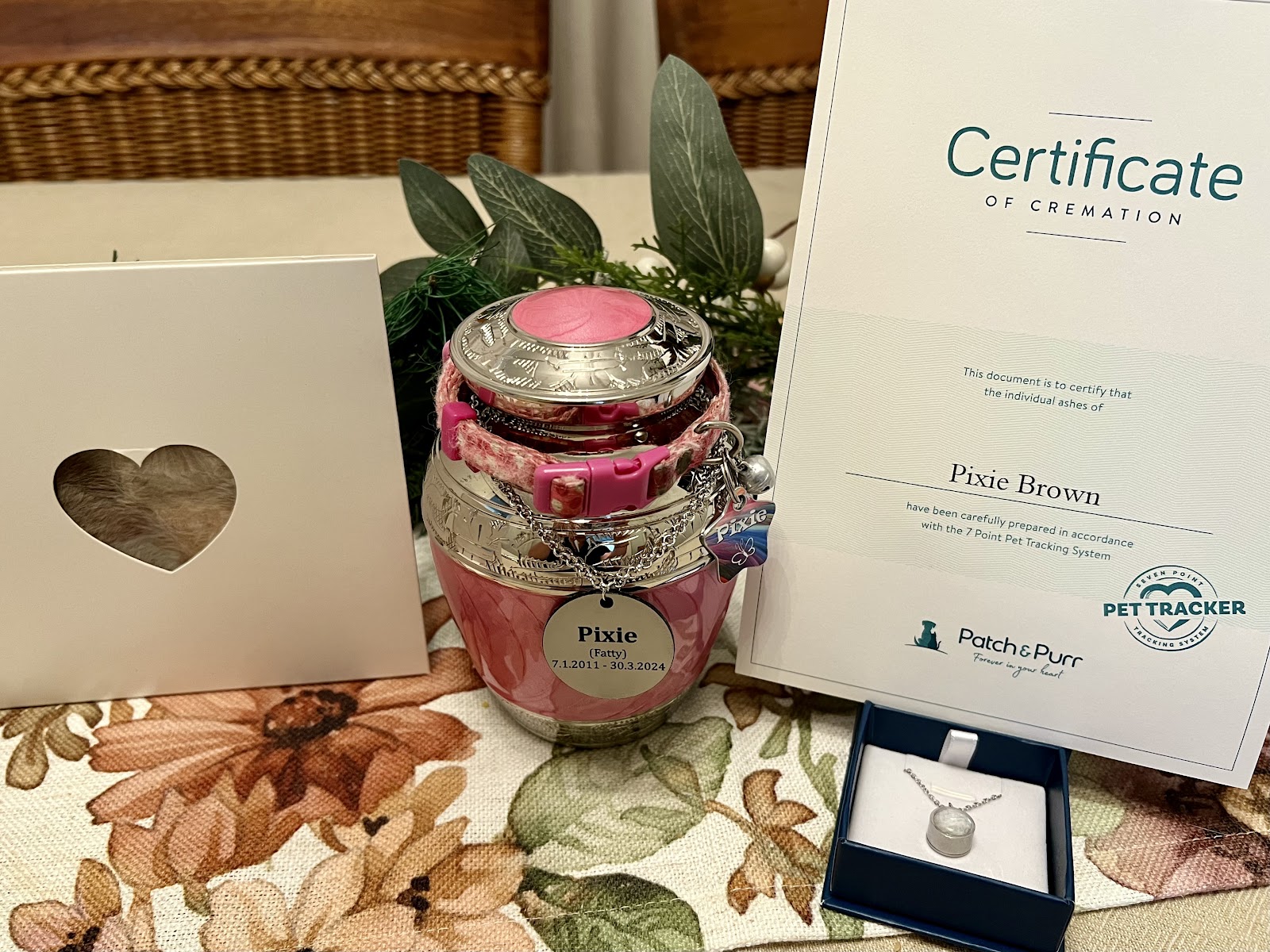Patch & Purr Pet Cremations Morisset