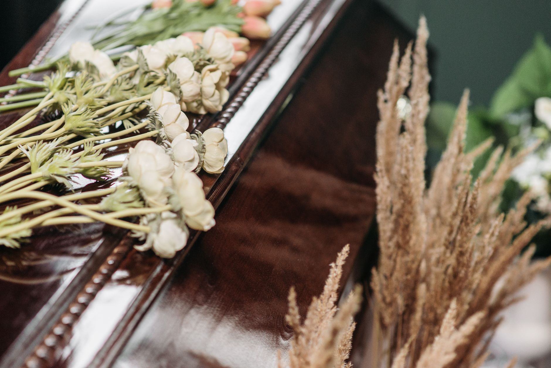 Patch & Purr Pet Cremations Morisset