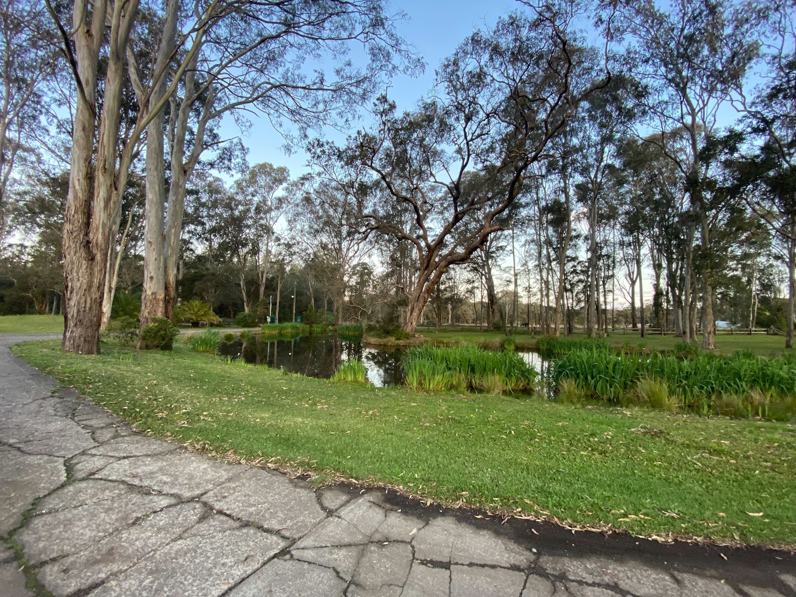 Kip Lake Macquarie Cat & Dog Boarding