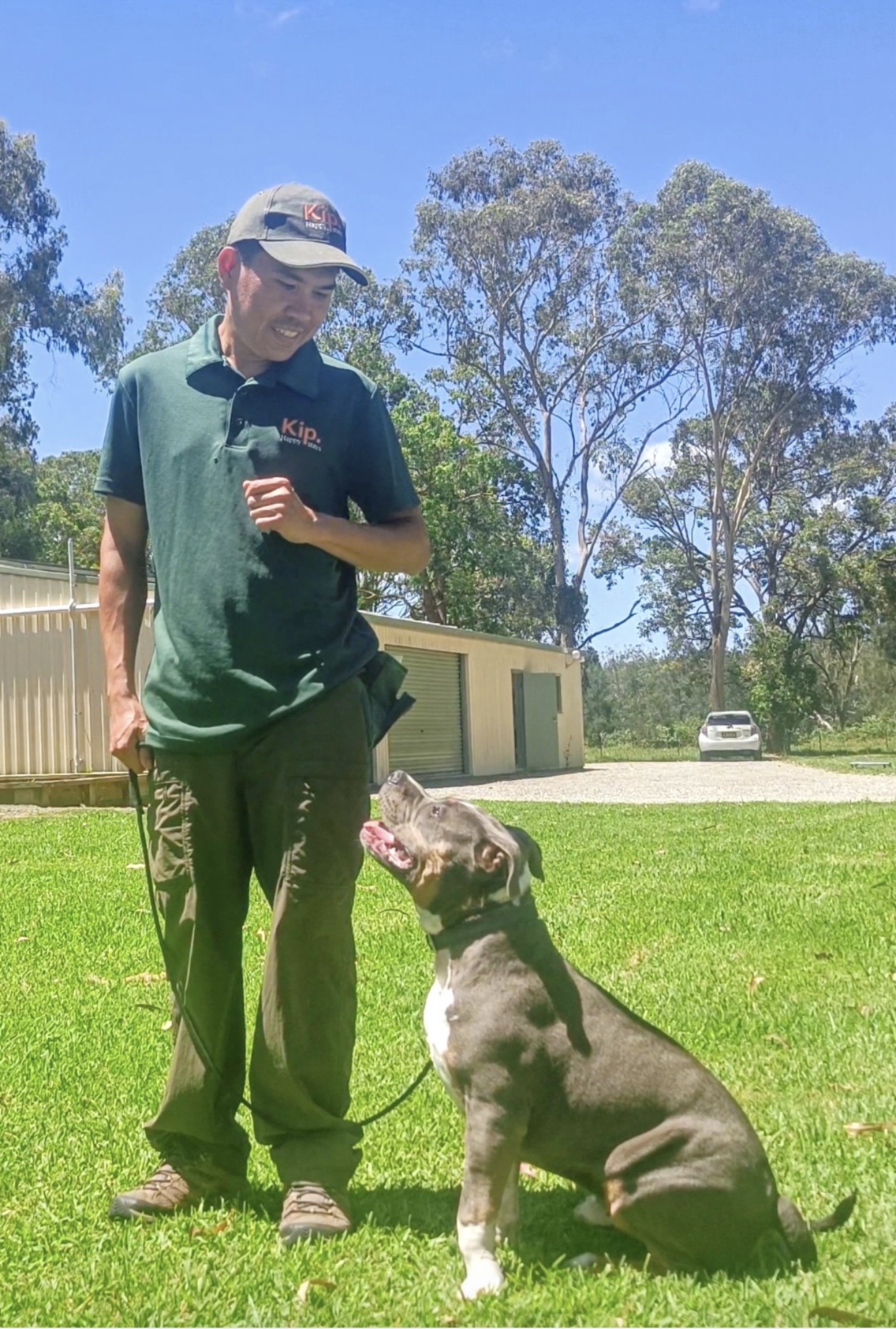 Kip Lake Macquarie Cat & Dog Boarding