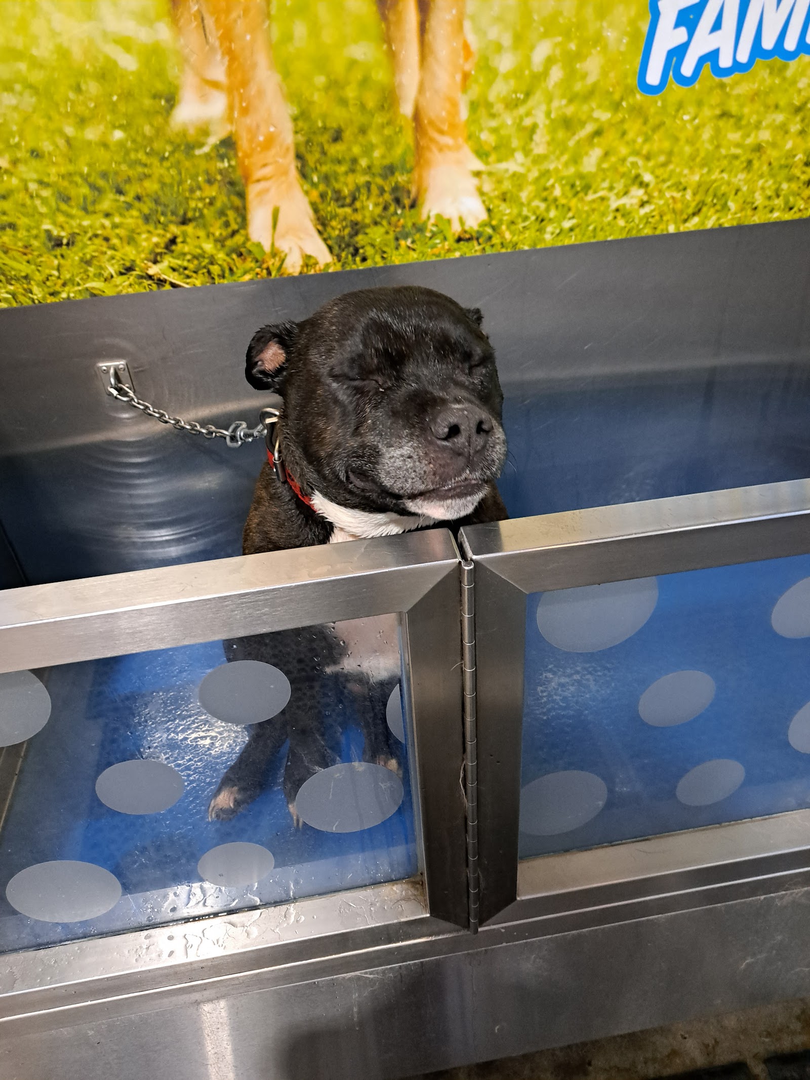 Petstock Cessnock — Pet Groomers