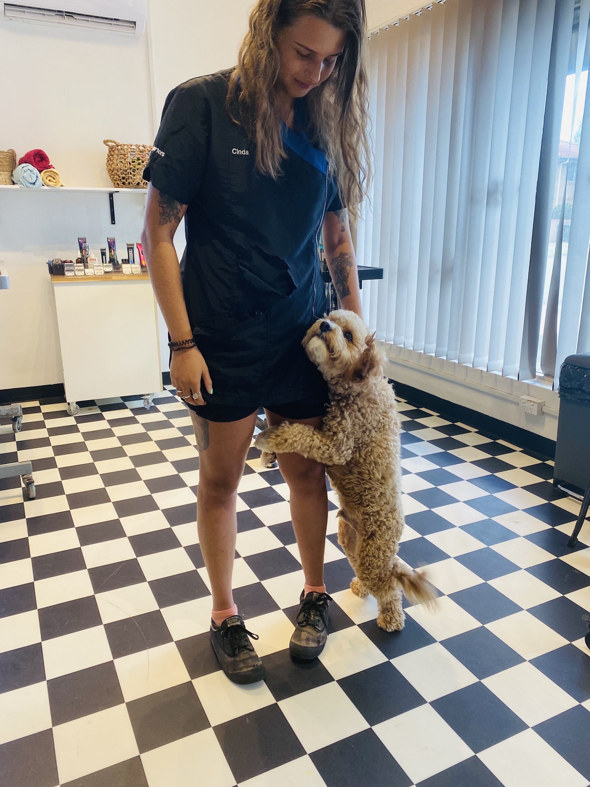 Heavenly Paws Dog Grooming & Washing