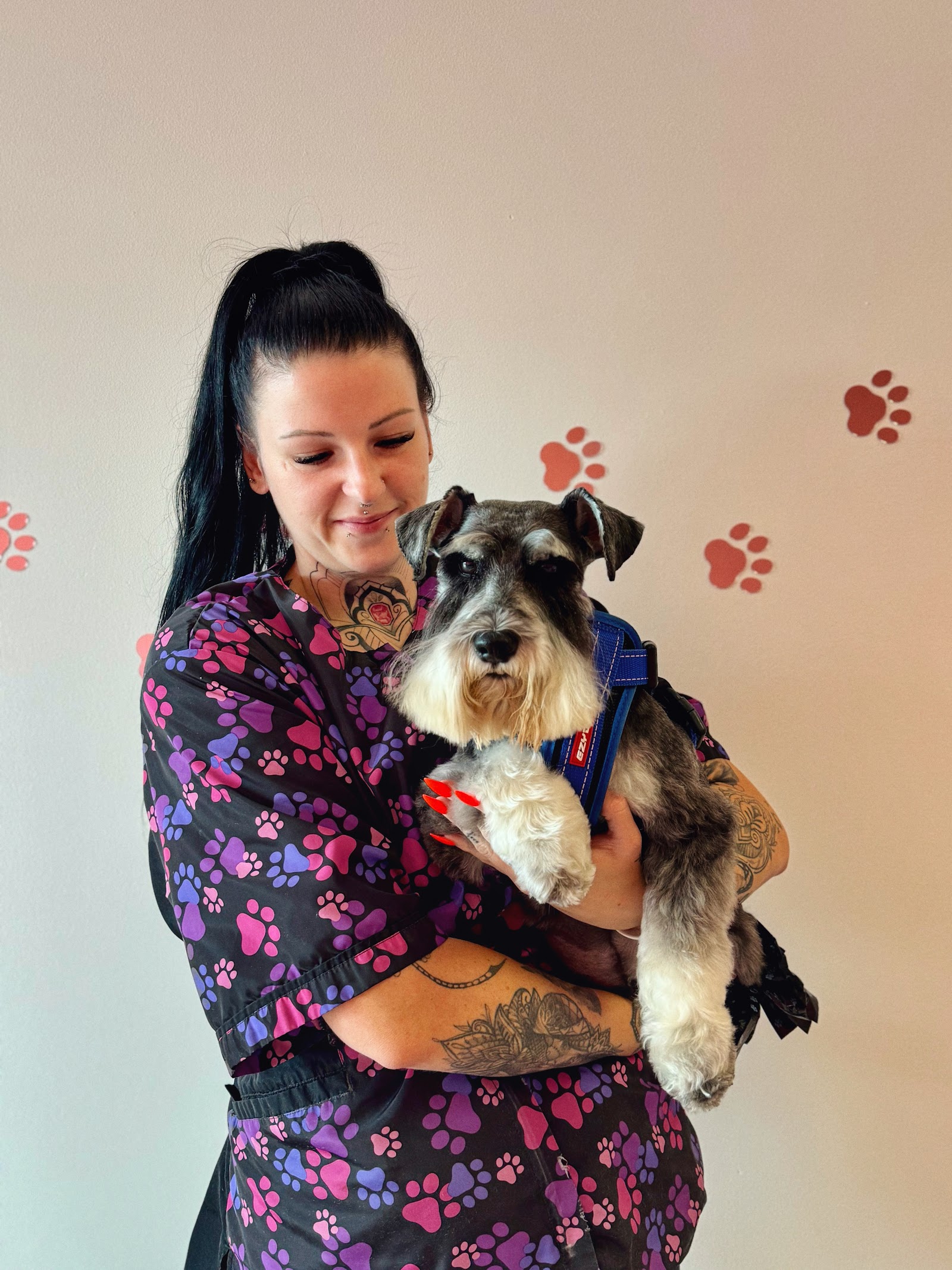 Pamper Palace — Pet Groomers