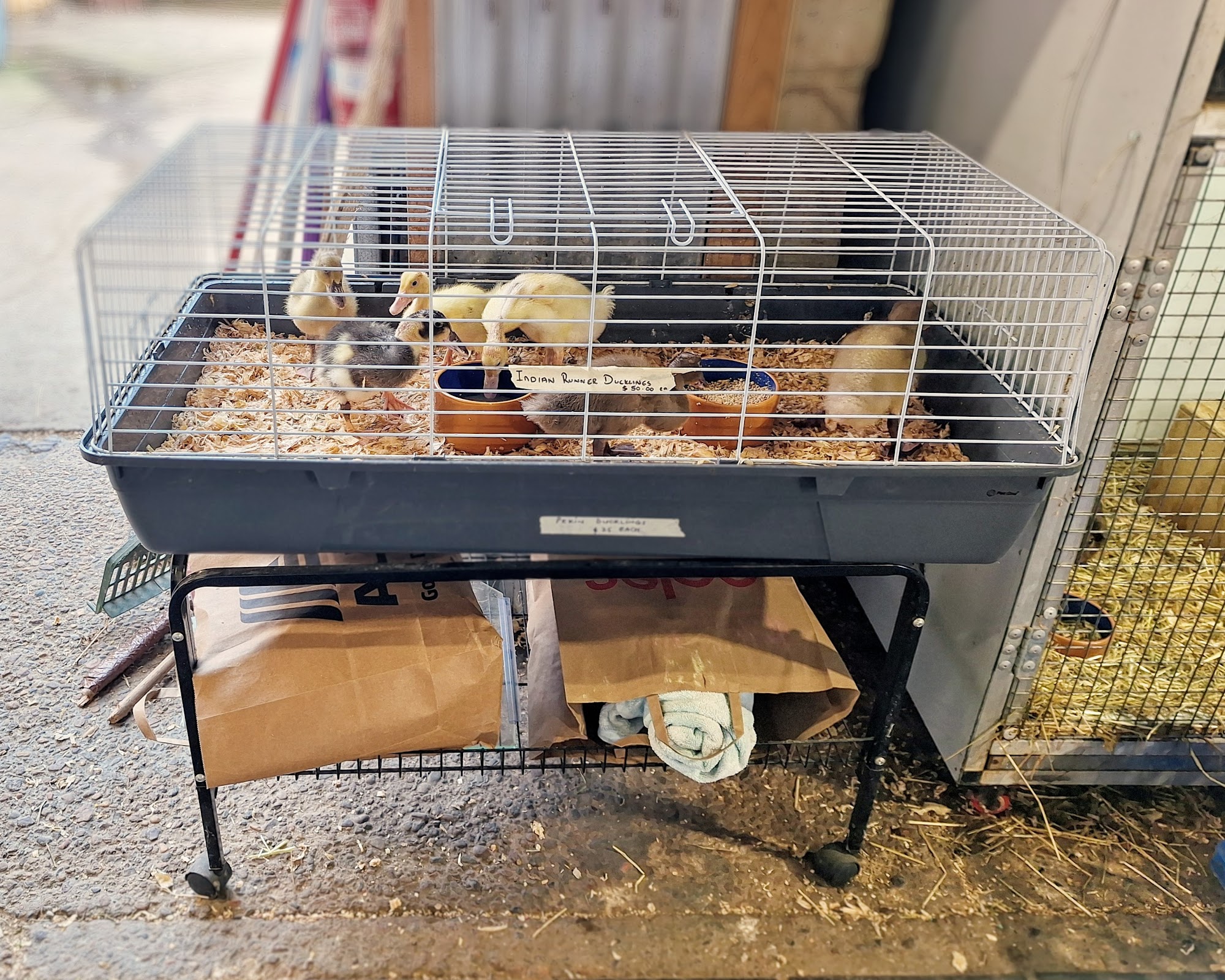 Branxton Pet World