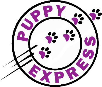 Puppy Express Pet Services logo
