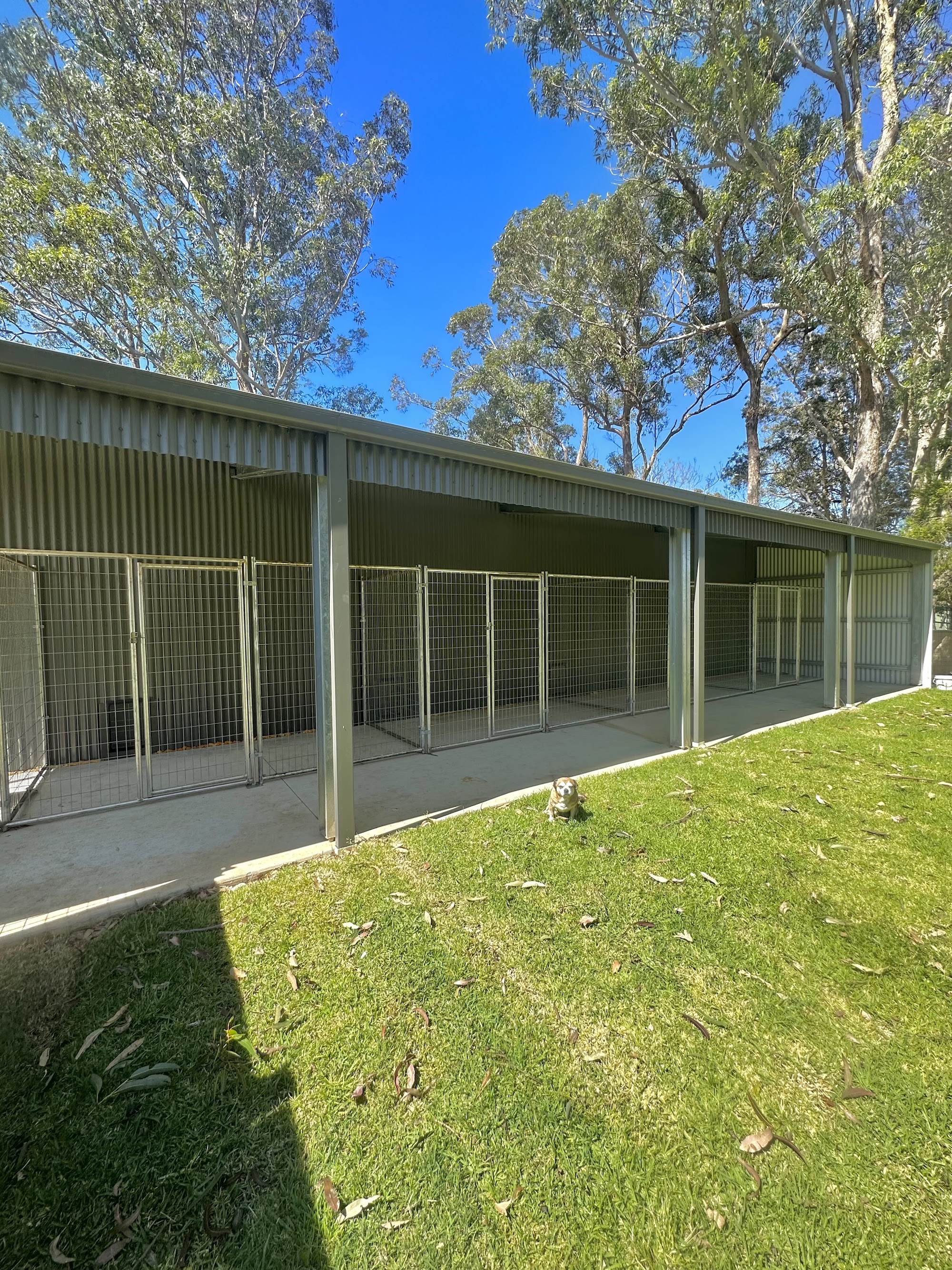 The Pet Emporium Doggy Lodge — Pet Groomers