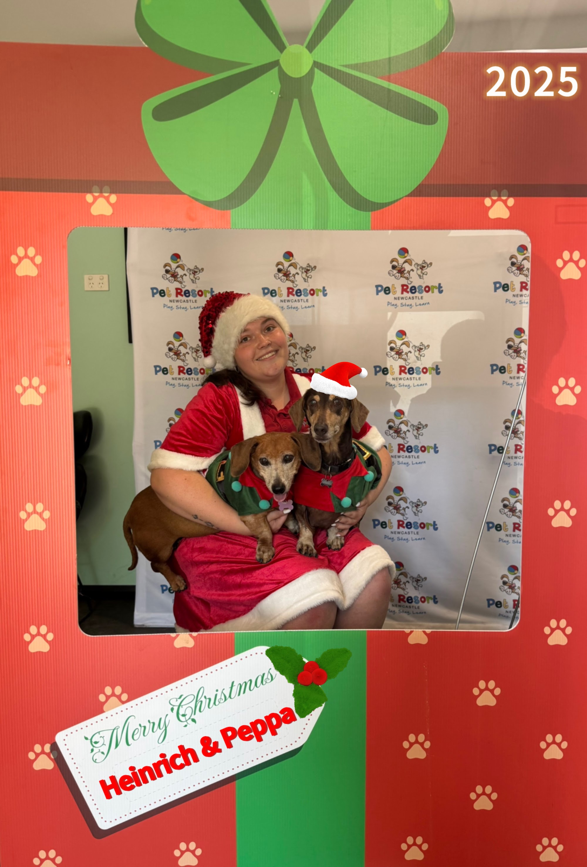 Newcastle Pet Resort — Pet Groomers