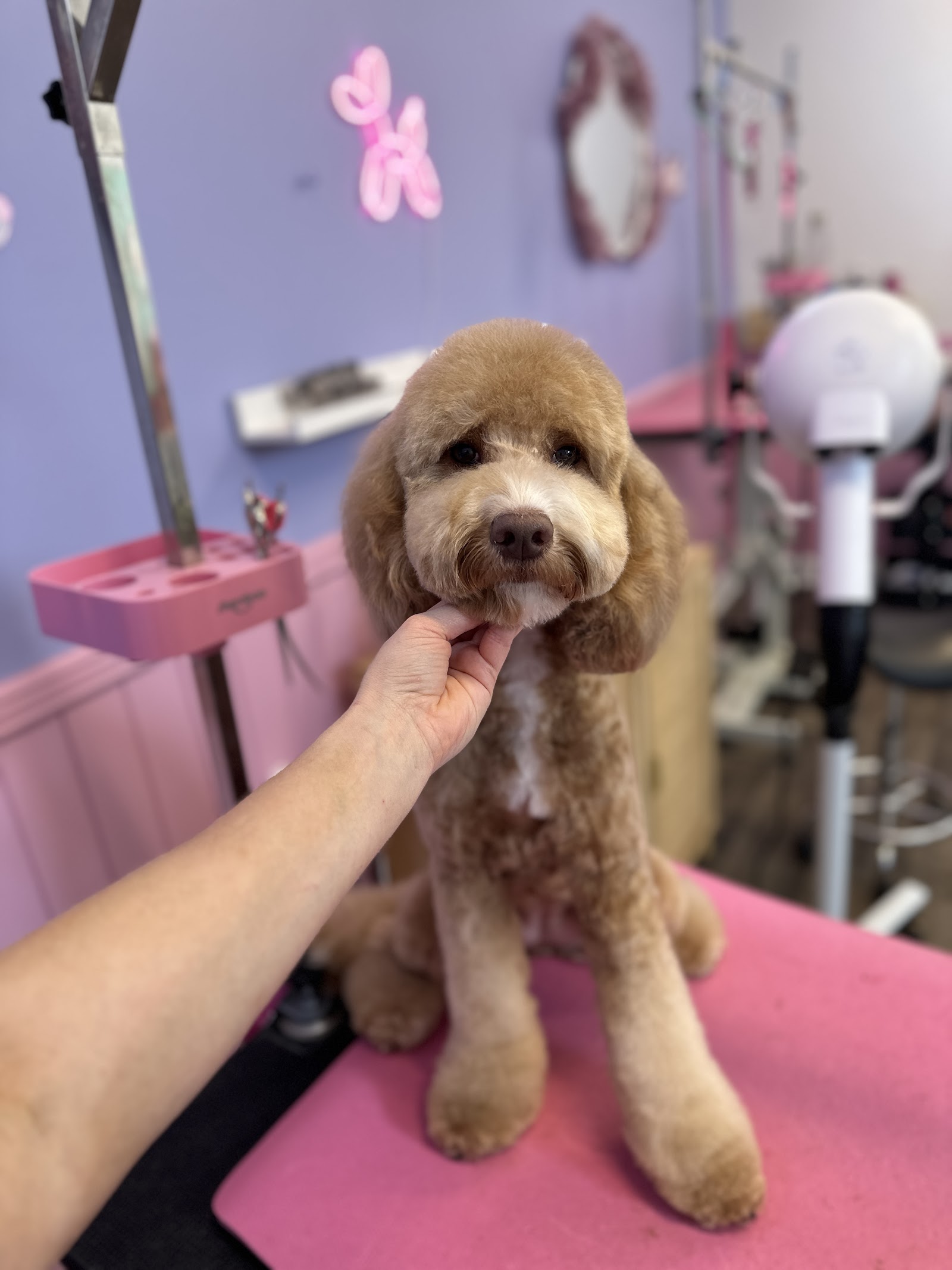 Grooming with Elyse