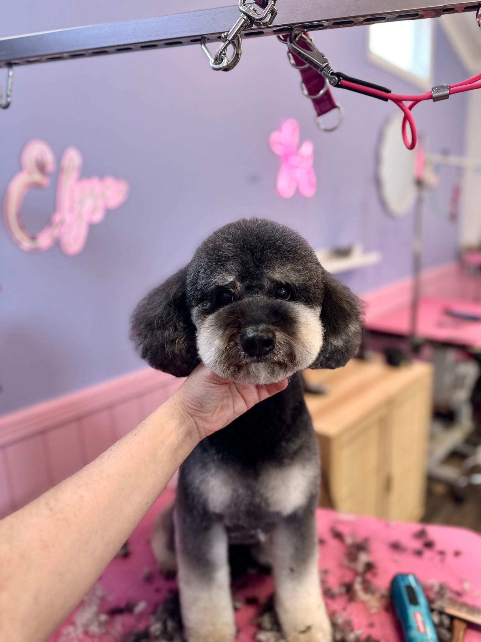 Grooming with Elyse