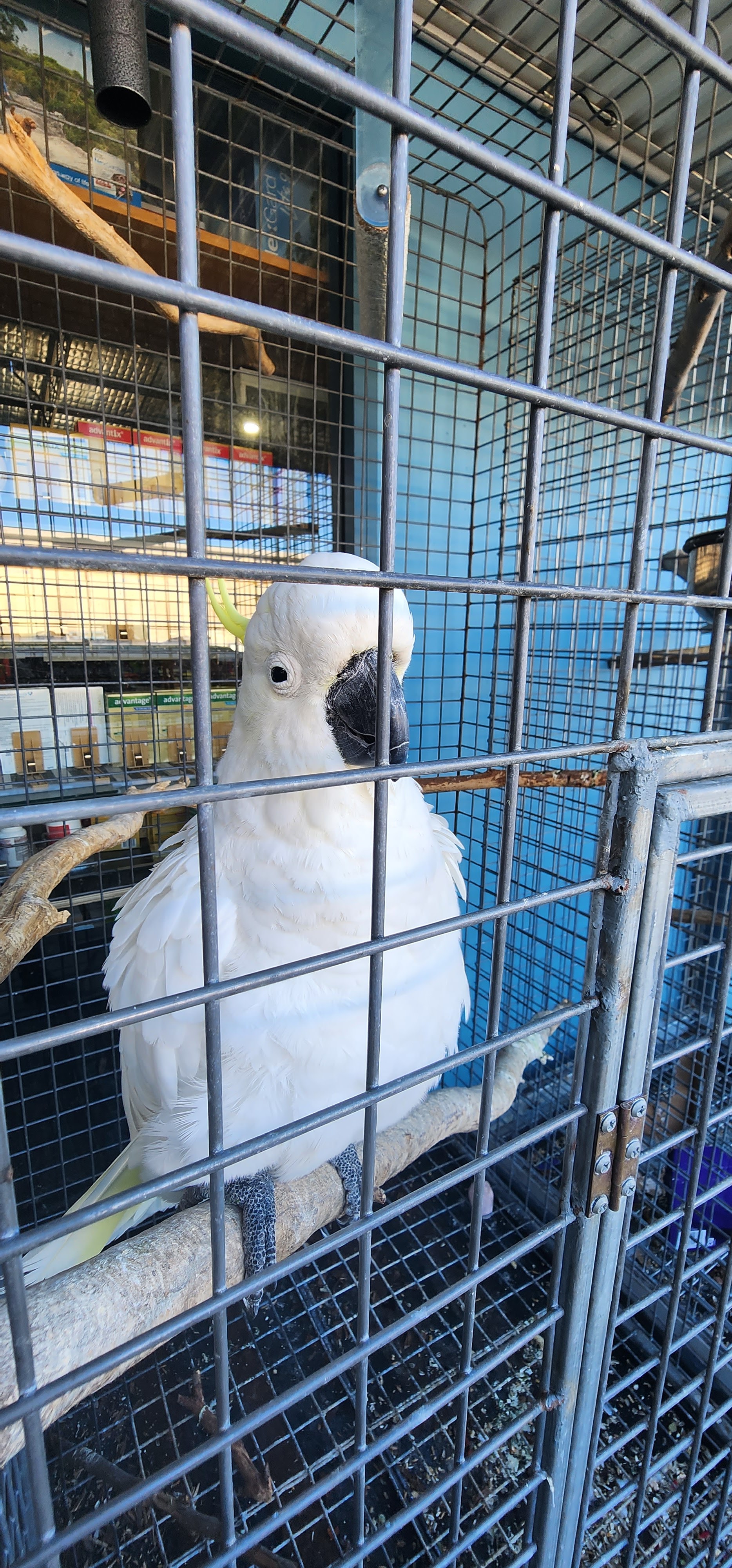 Port Stephens Pet Warehouse