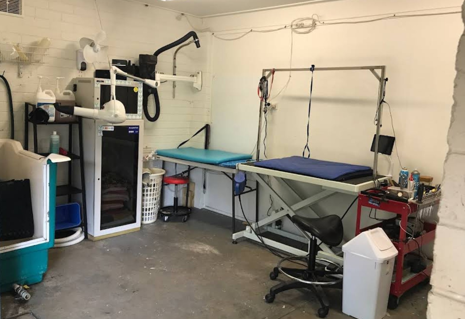 Happy Hounds Small to Medium Dog Grooming — Pet Groomers