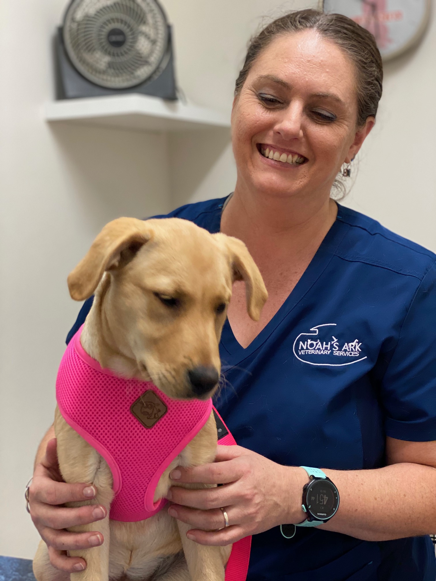 Noah's Ark Veterinary Services — Pet Groomers