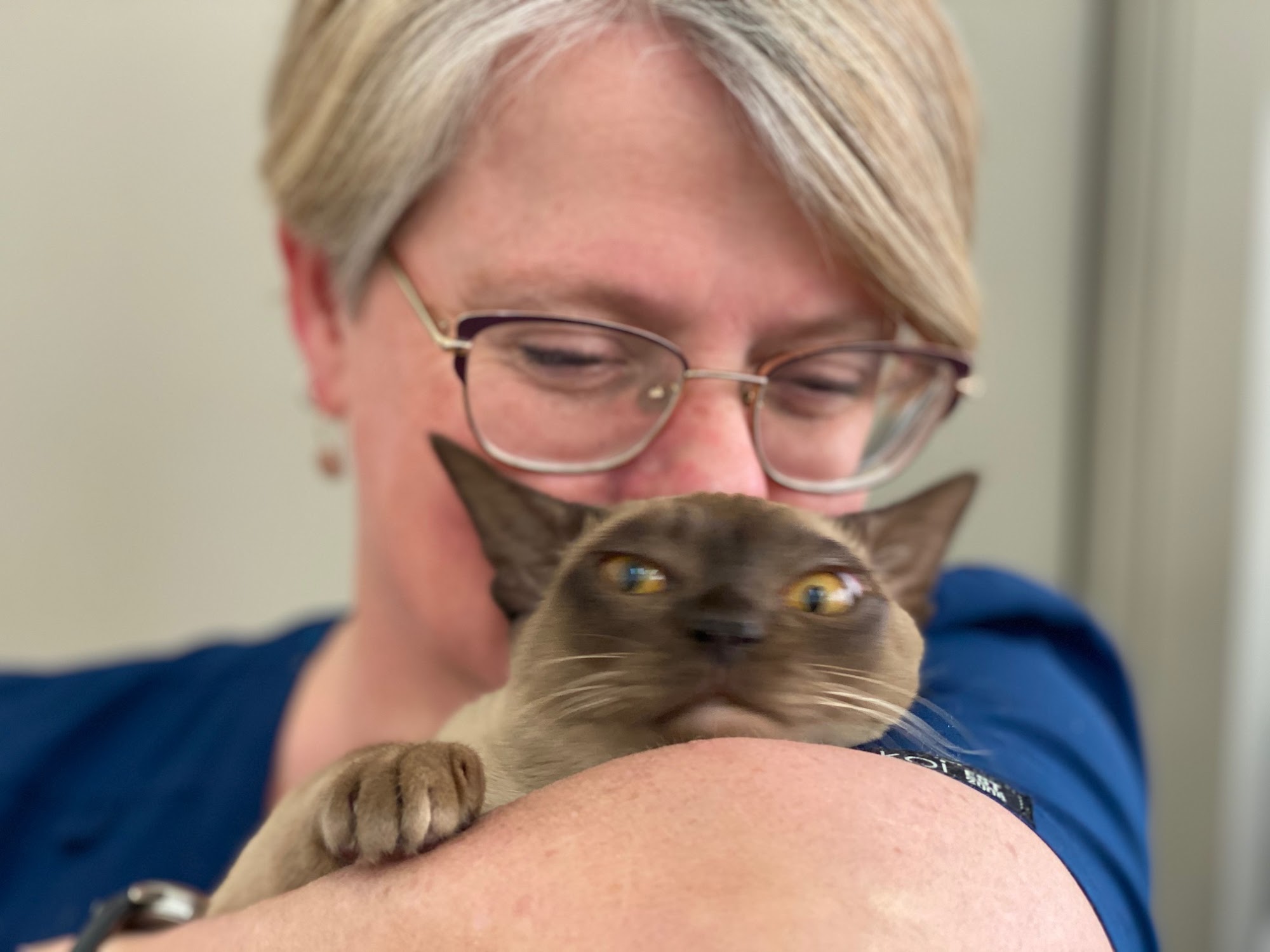 Noah's Ark Veterinary Services